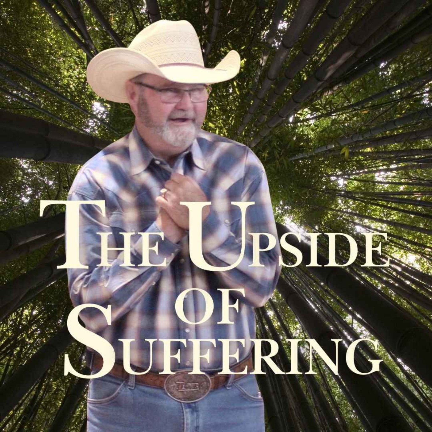 The Upside to Suffering episode artwork