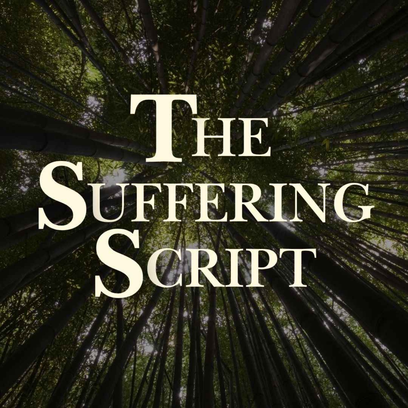 The Suffering Script episode artwork
