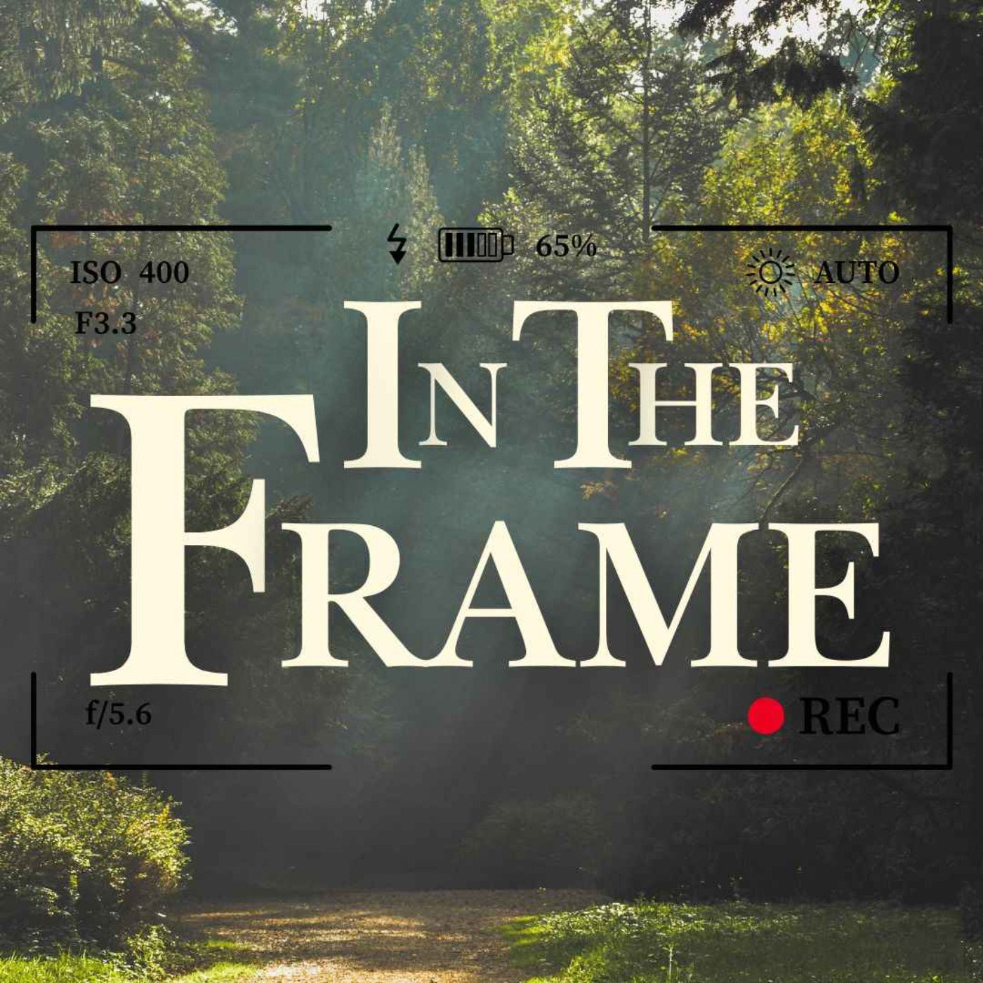 In The Frame episode artwork
