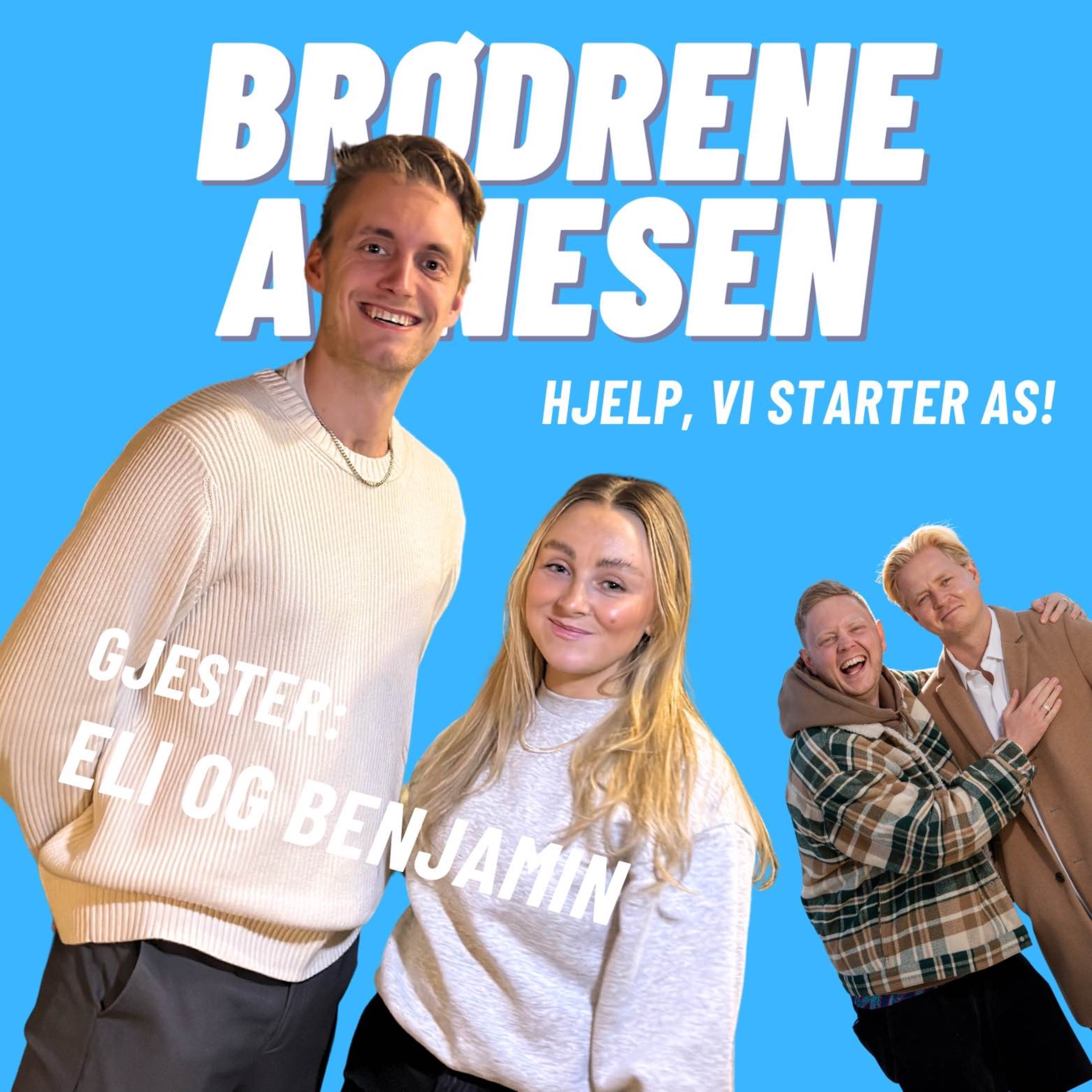 Brødrene Arnesen