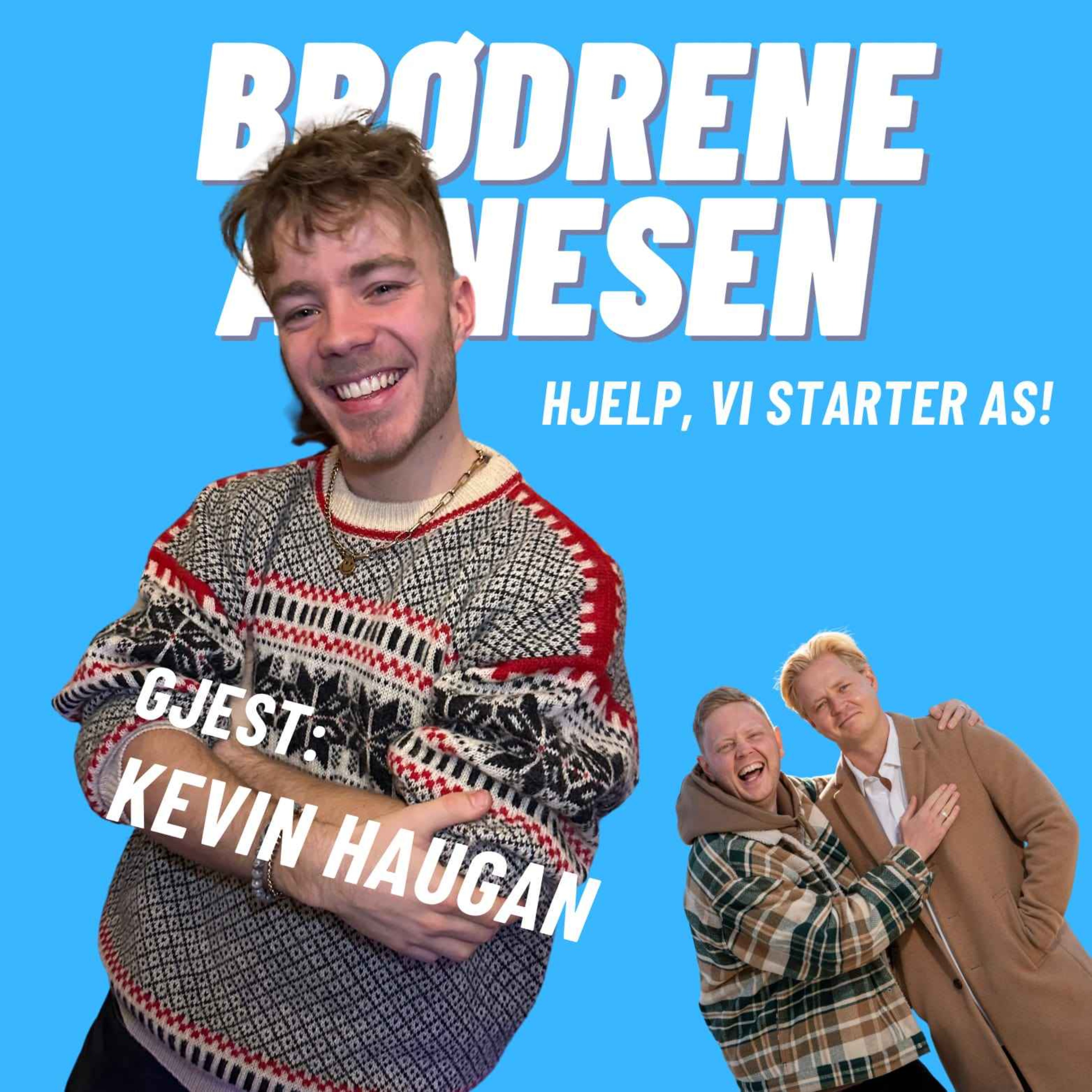 Brødrene Arnesen
