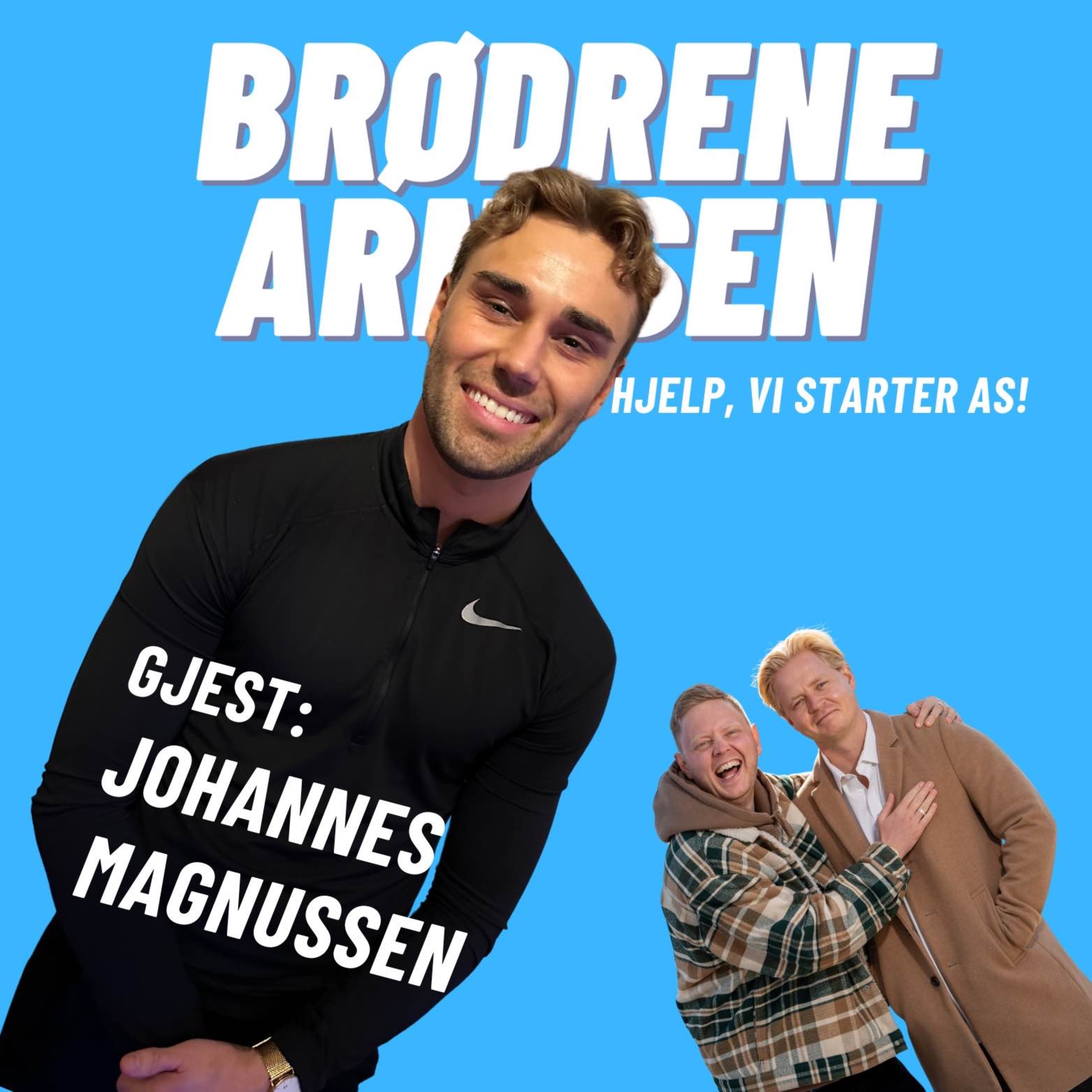 Brødrene Arnesen