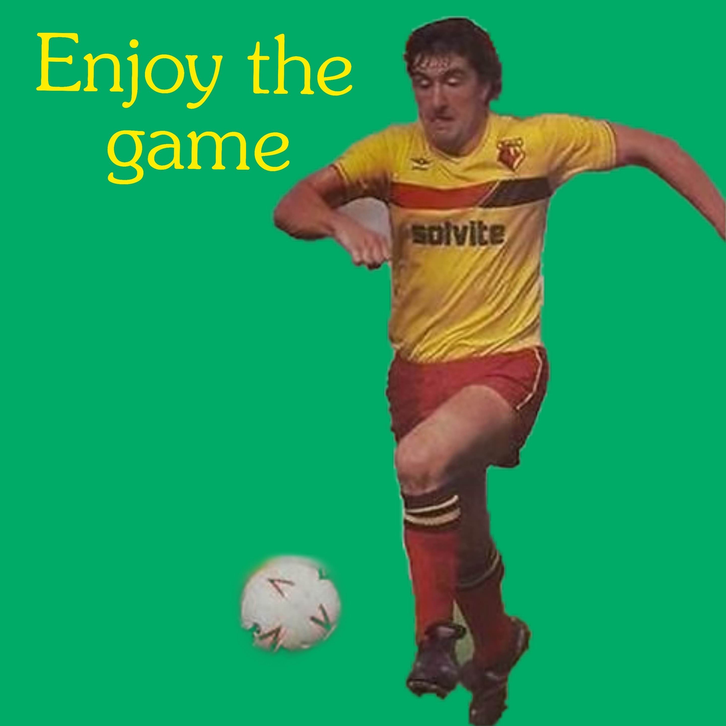 Enjoy the game – Watford Football Club