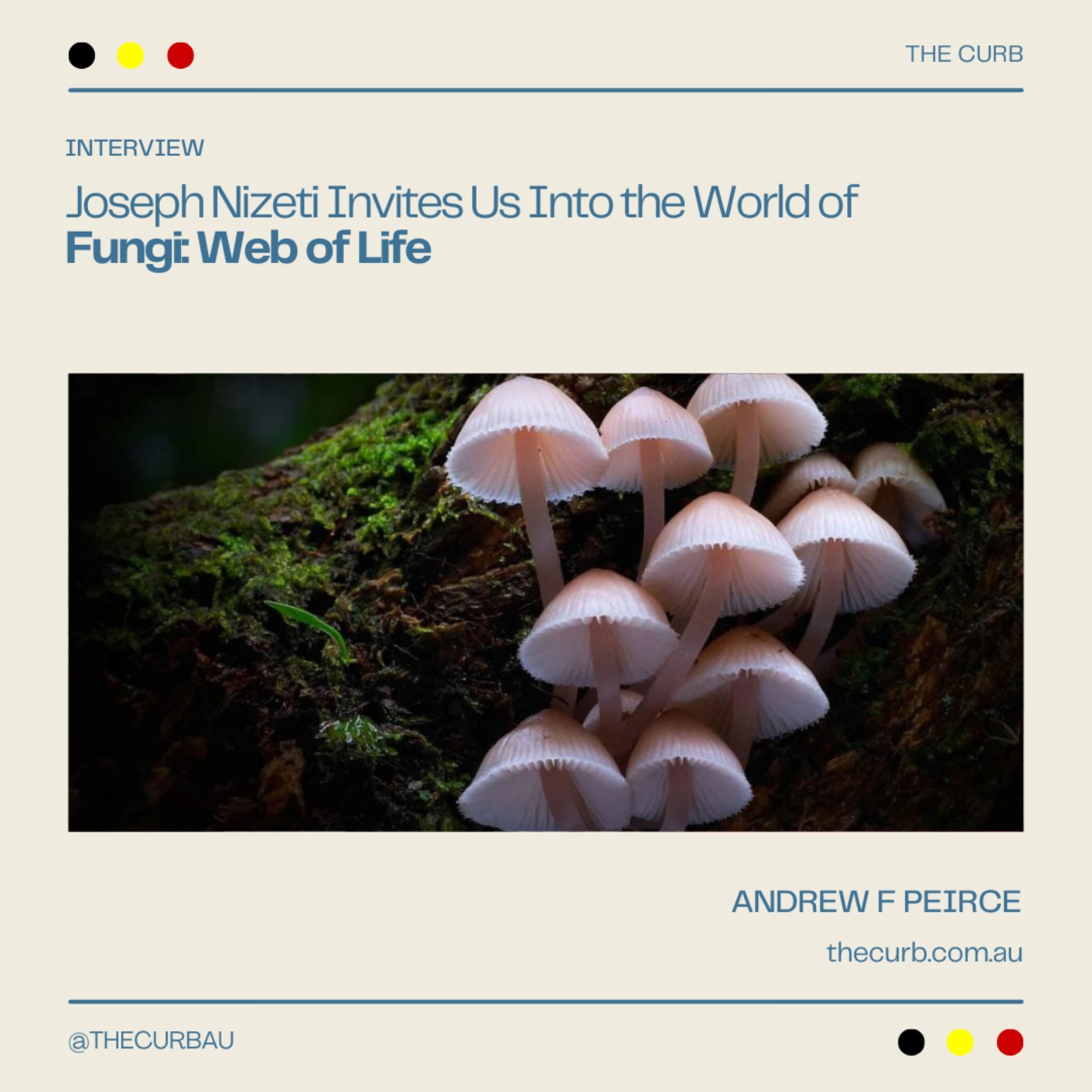 Joseph Nizeti Invites Us Into the World of Fungi: Web of Life