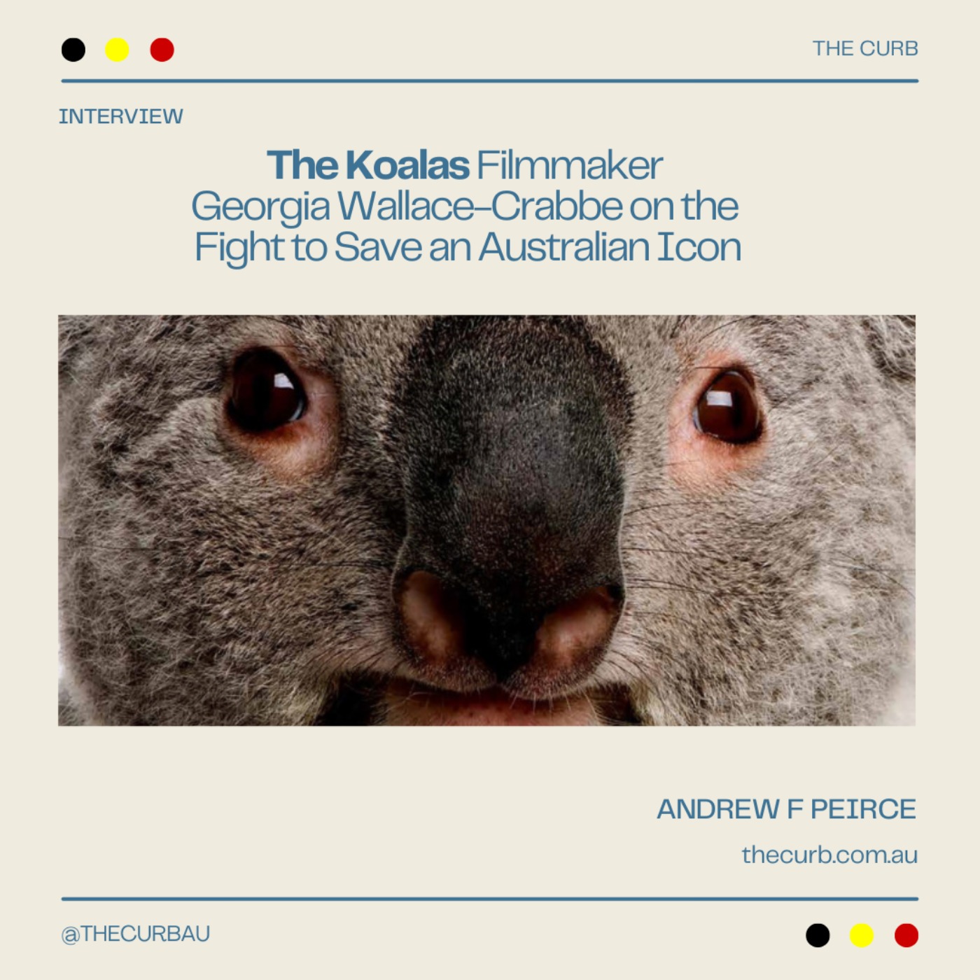 The Koalas Filmmaker Georgia Wallace-Crabbe on the Fight to Save an Australian Icon