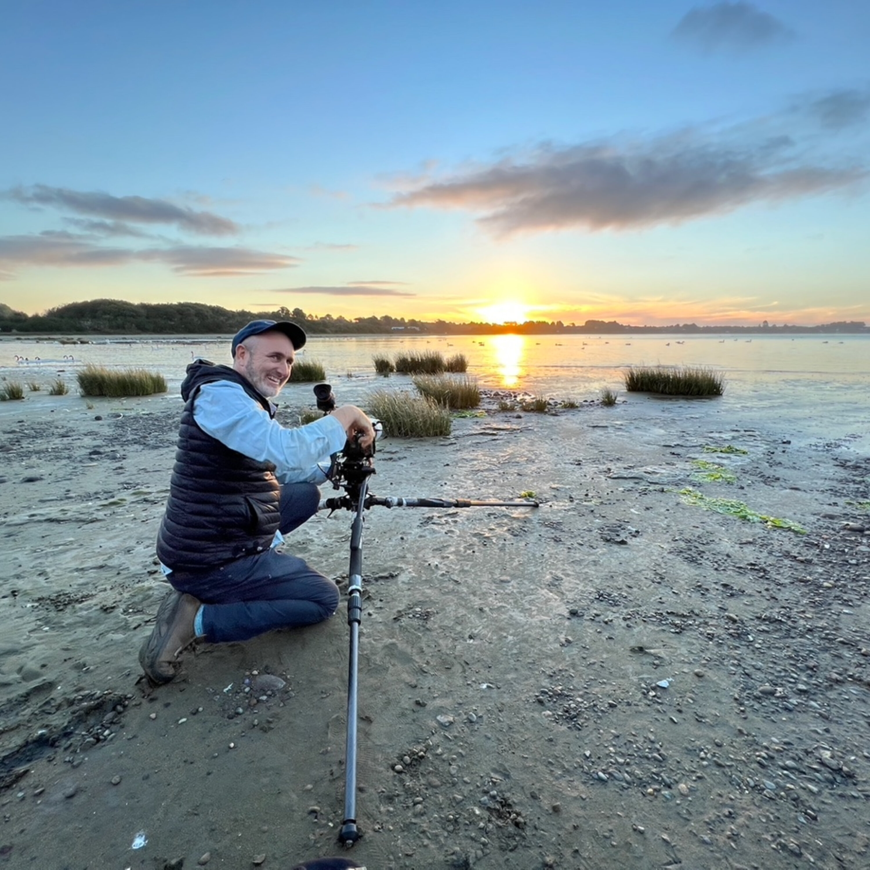 Flyways Director Randall Wood Talks About Saving Shorebirds in This Interview