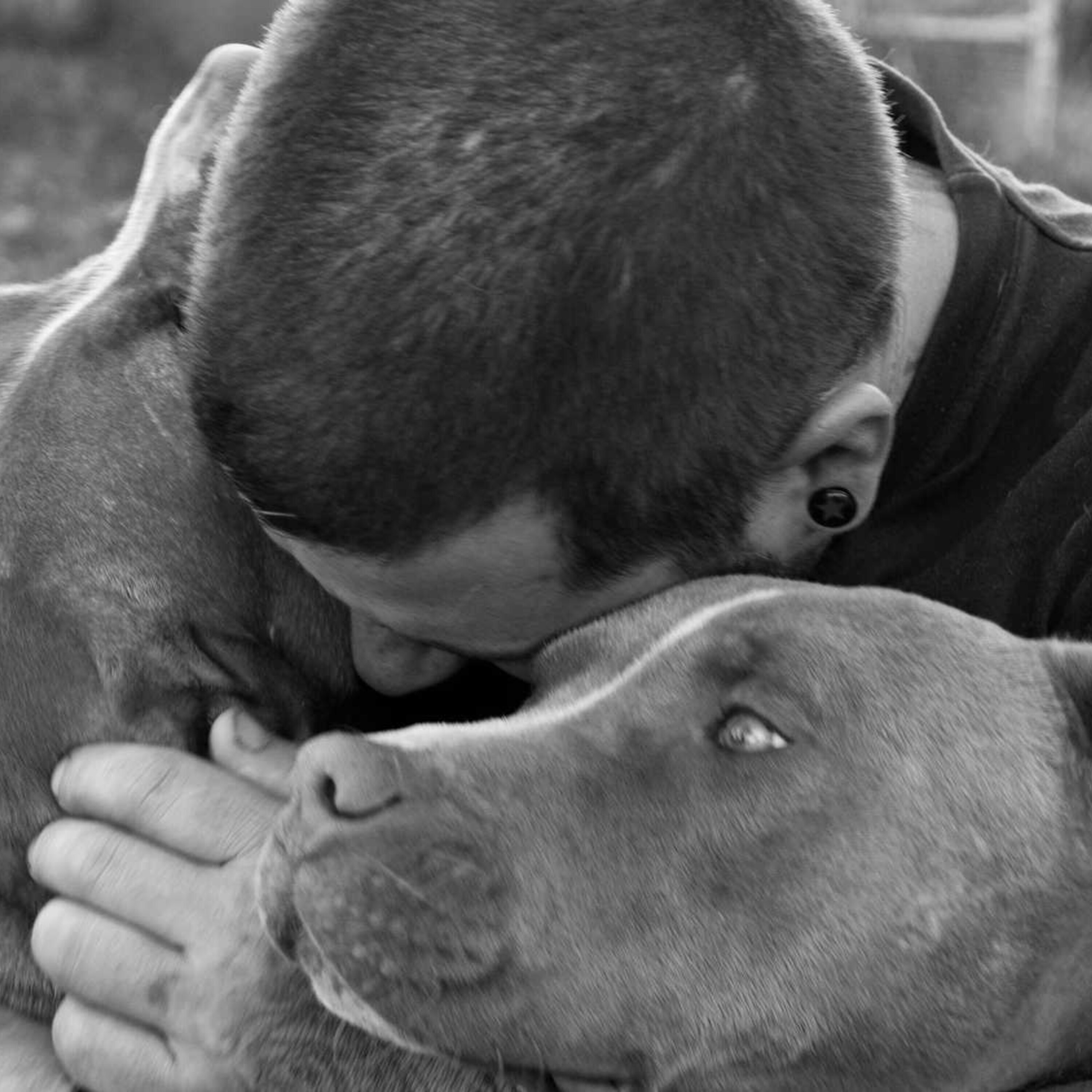 Dog's Best Friend Director Eryn Wilson Interview