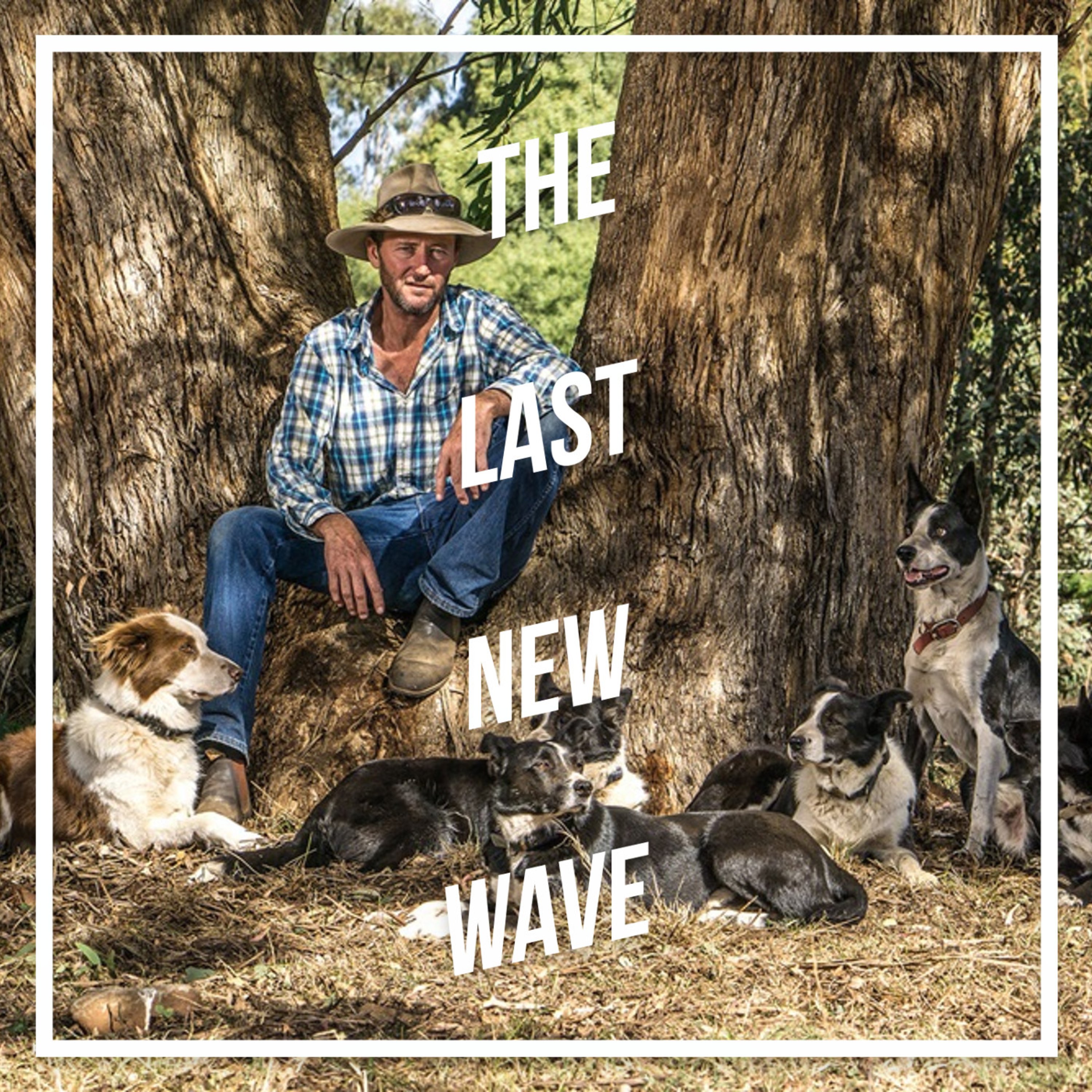 Backtrack Boys Director Catherine Scott Interview - The Last New Wave