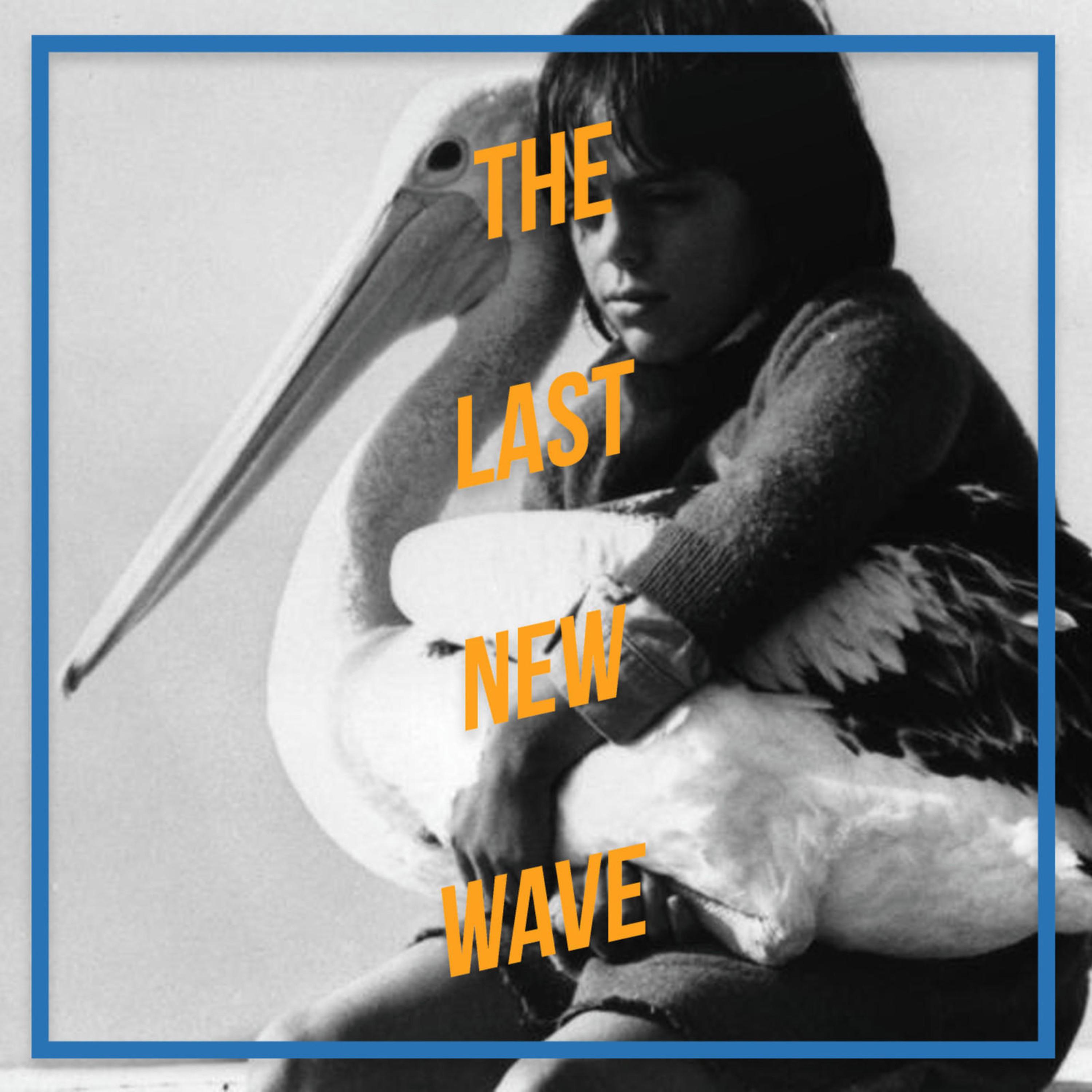 Storm Boy - 1976 - Henri Safran - The Last New Wave