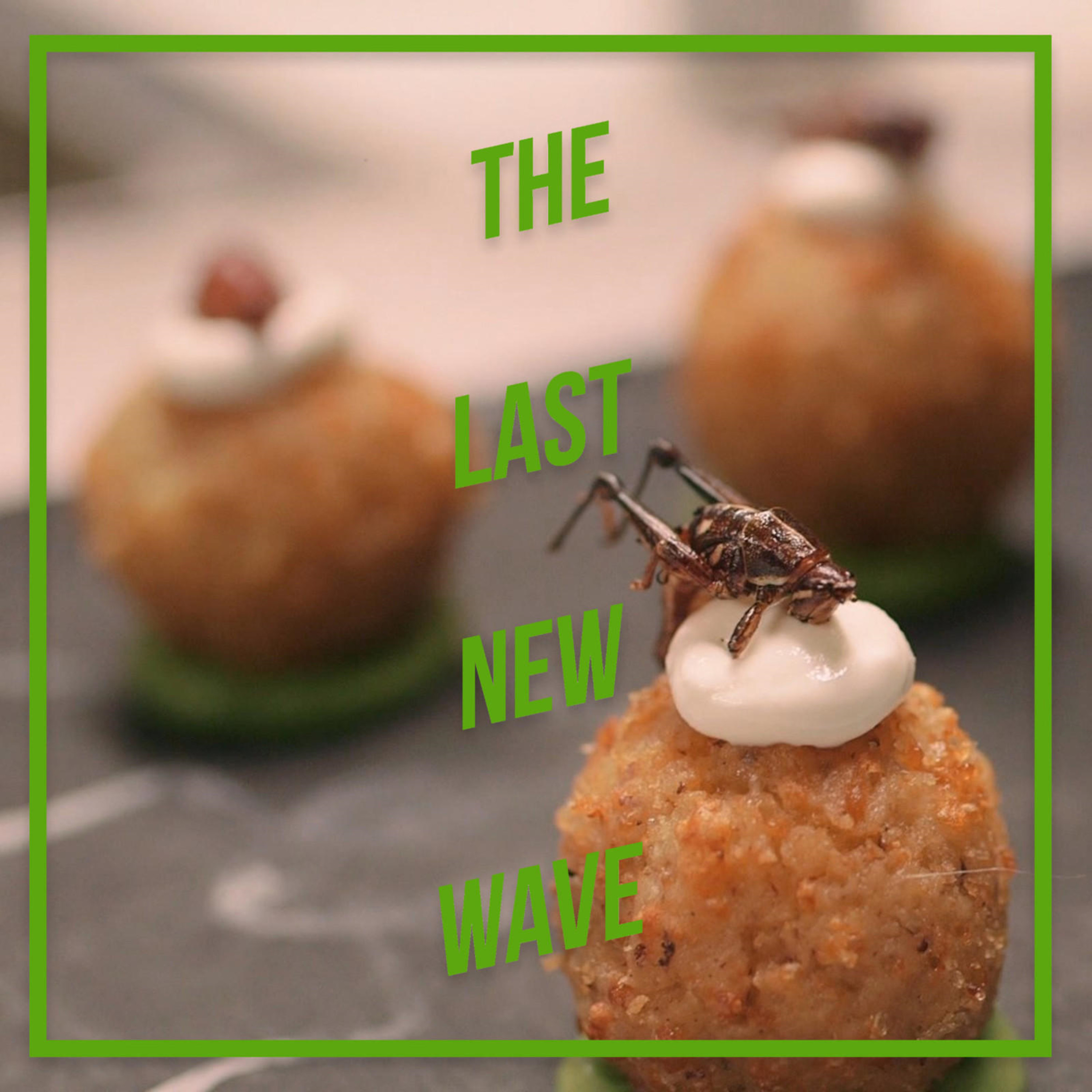 The Gateway Bug Interview with Director Johanna B. Kelly and Producer Cameron Marshad - The Last New Wave