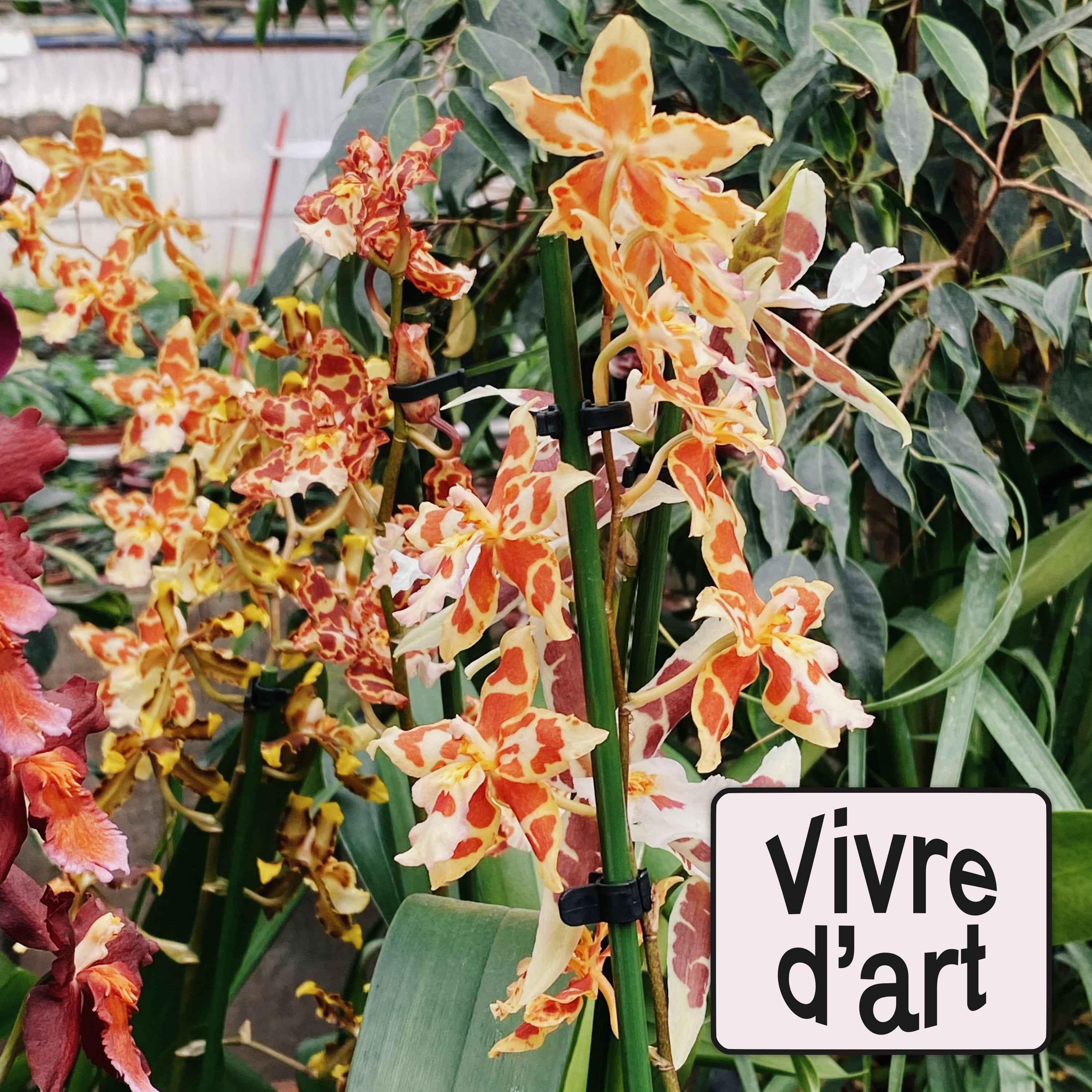 Paris, minuit - Vivredart
