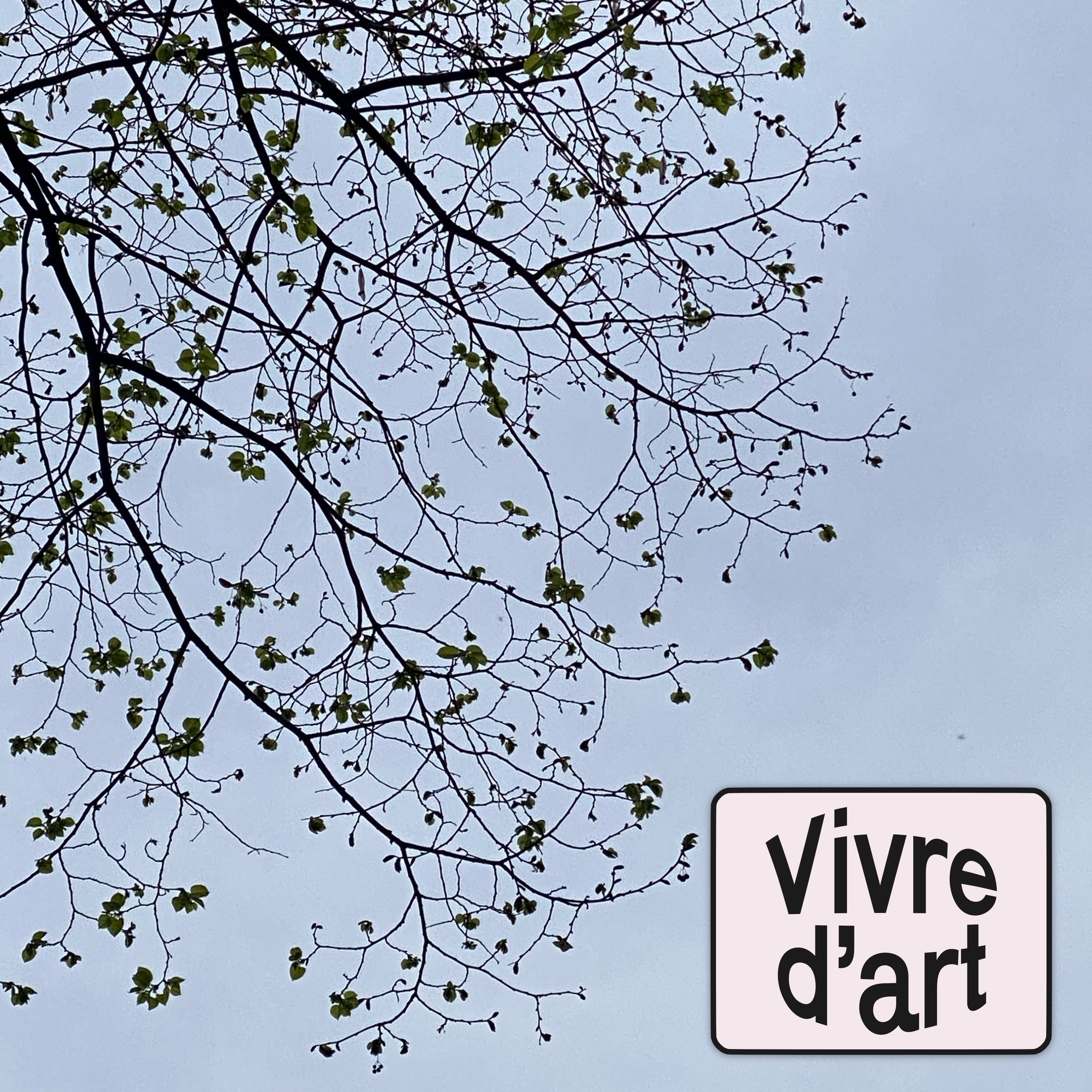 Paris, minuit - Vivredart