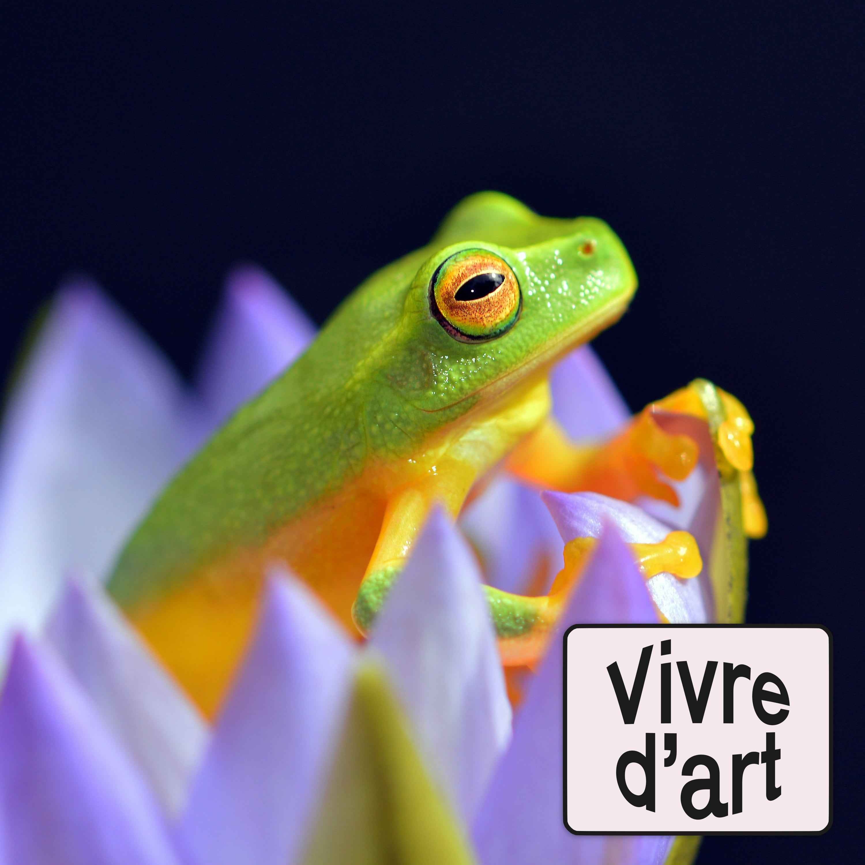 Paris, minuit - Vivredart