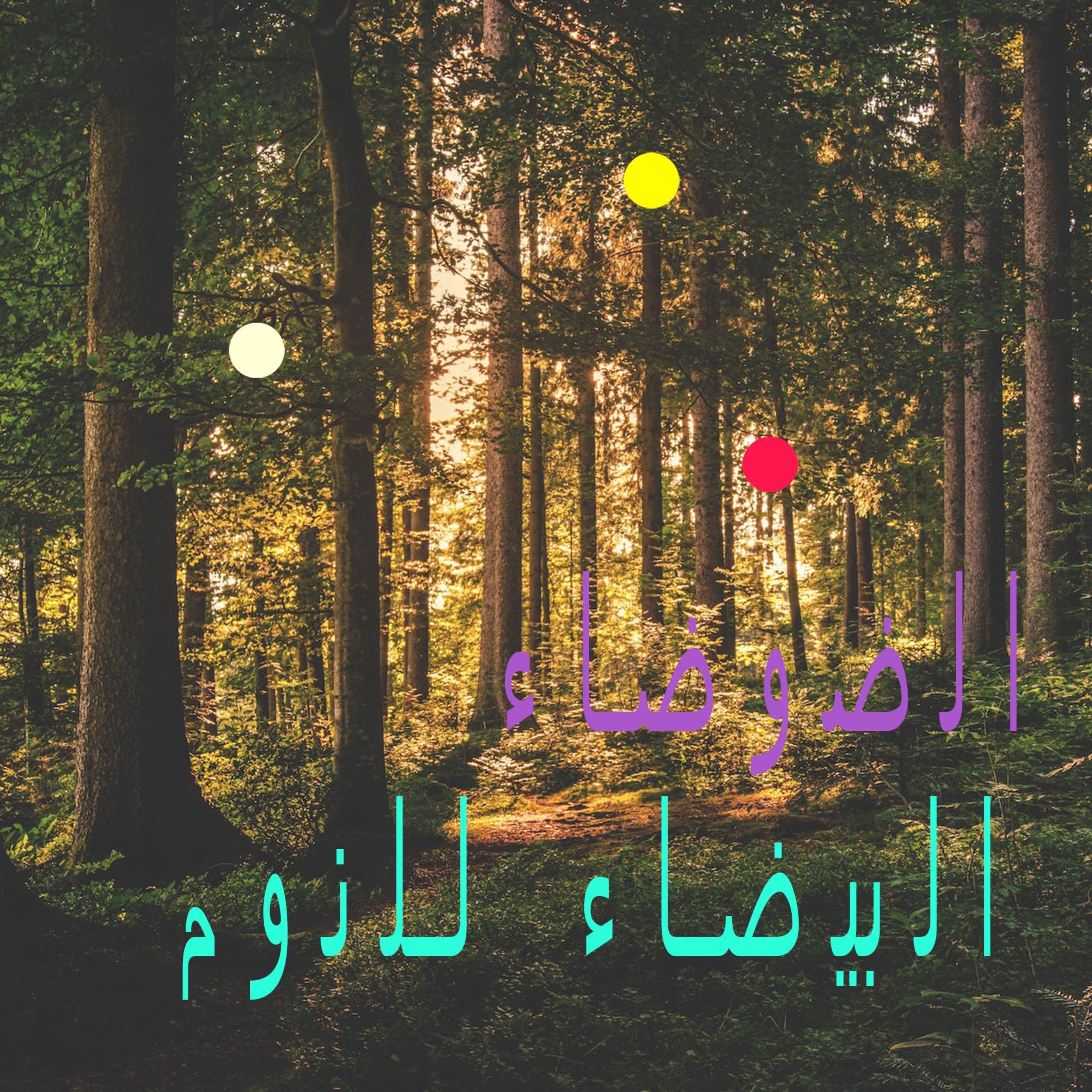 الاستحمام في الغابة | أصوات الماء الجاري، الأوراق والطيور