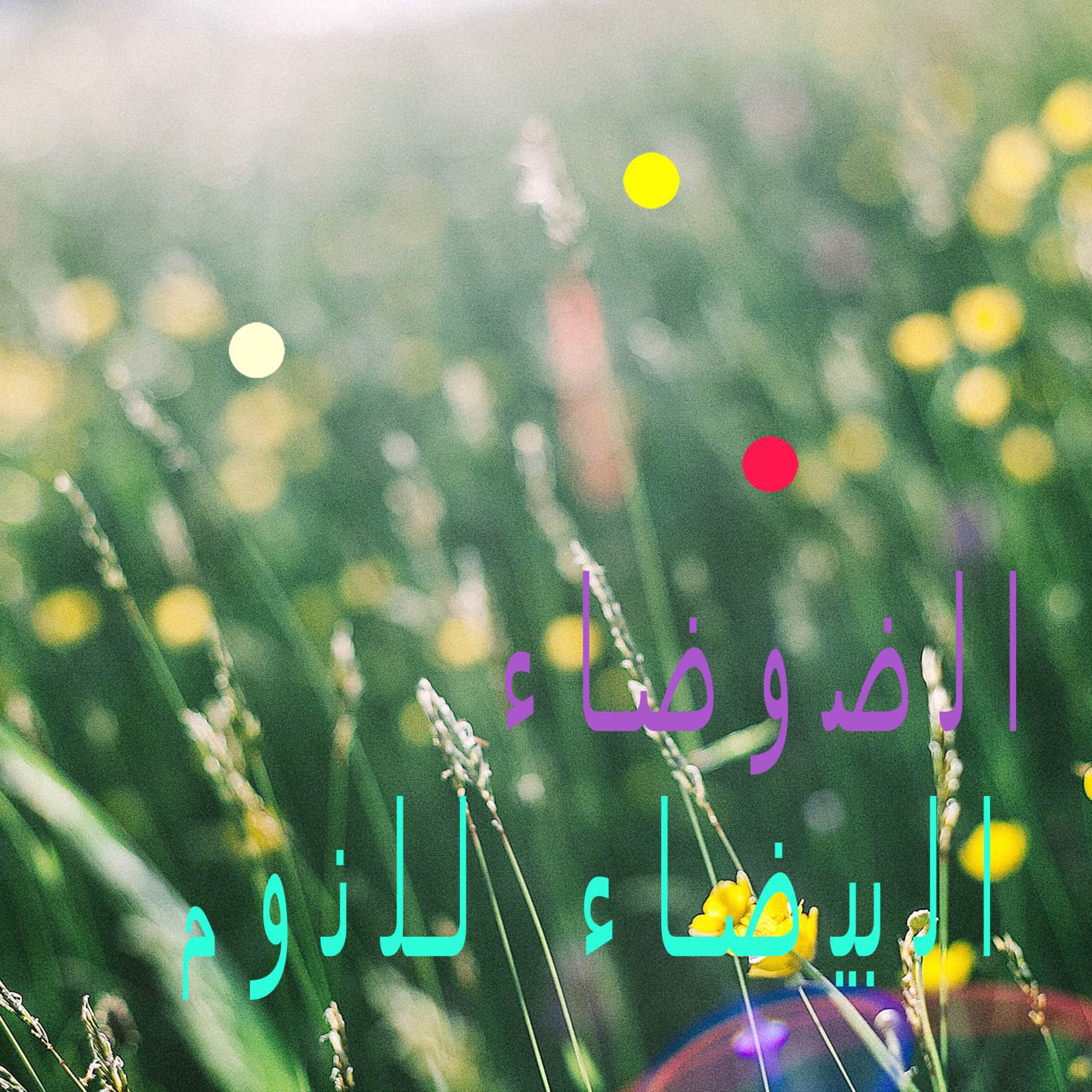 يوم صيفي عاصف مع همس الأوراق وغناء الطيور