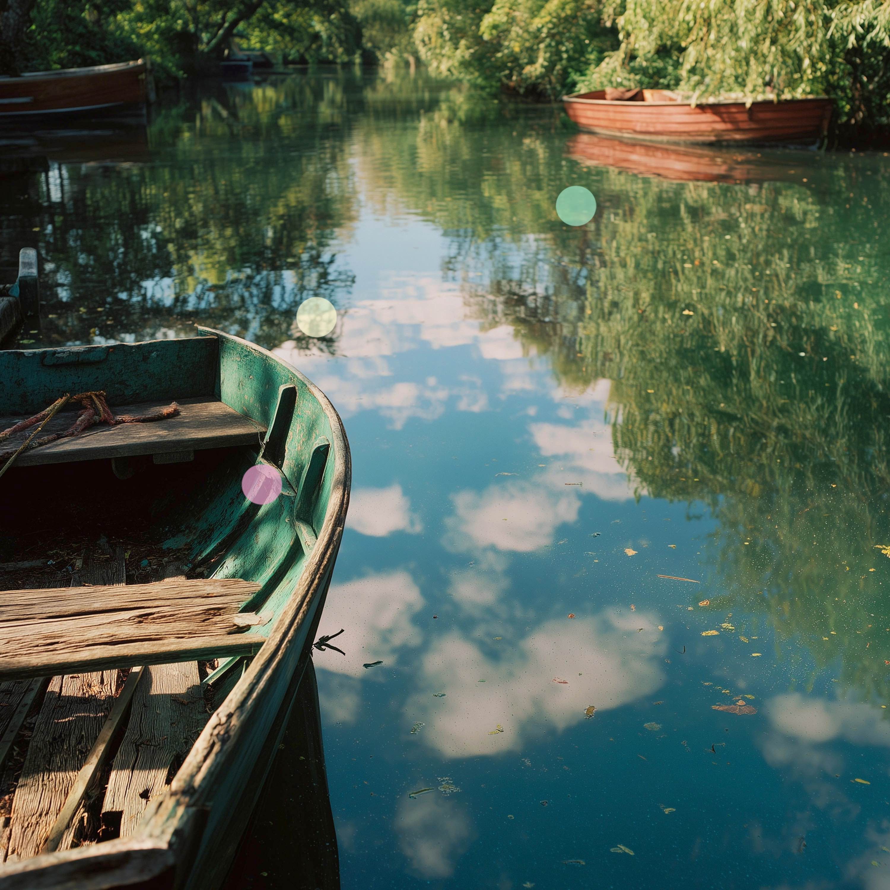 تلاطم لطيف لمياه النهر وأصوات طيور الربيع | من ضفاف نهر كام