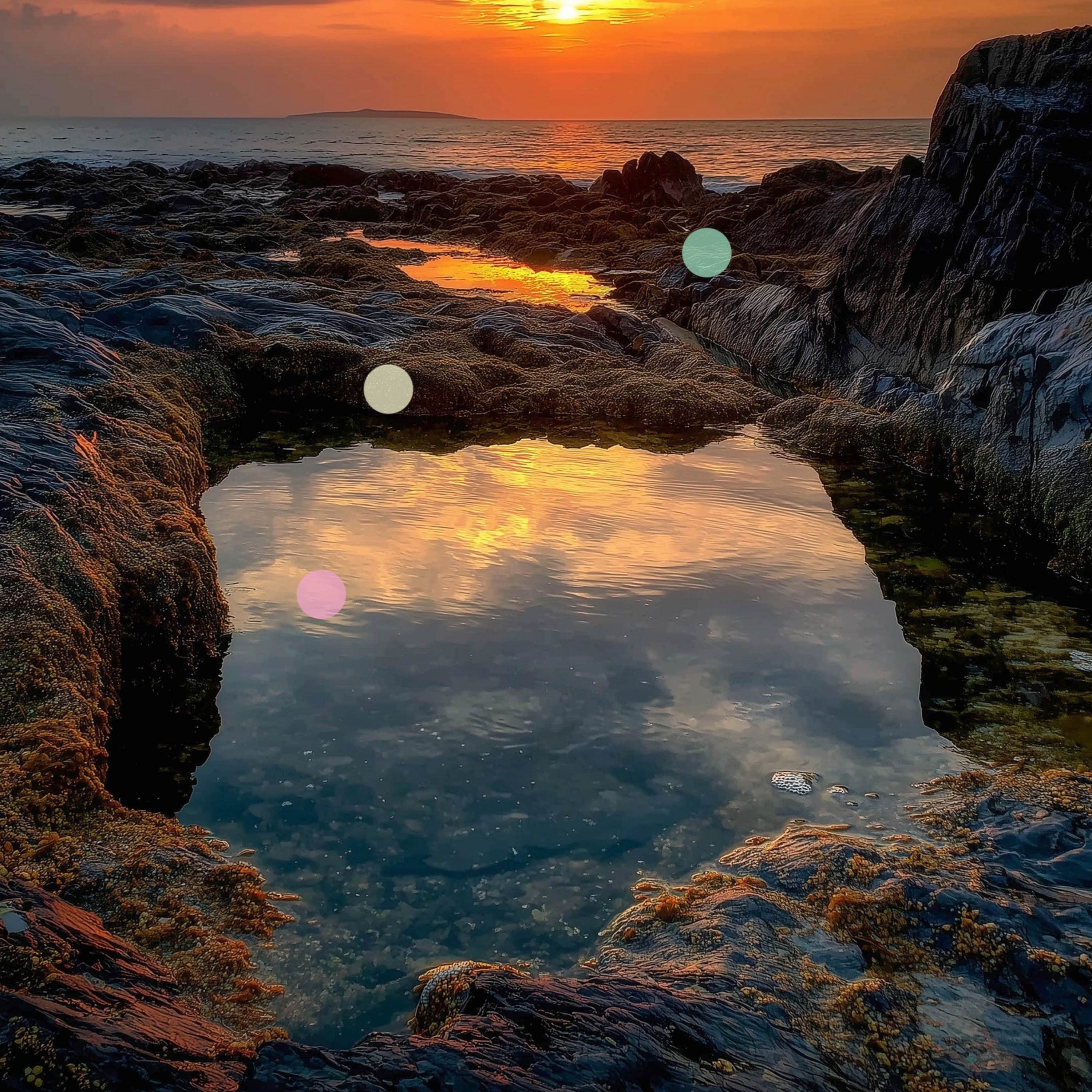 برك طبيعية تمتلئ عند المدّ العالي | بركة لا نهائية طبيعية في كورنوال