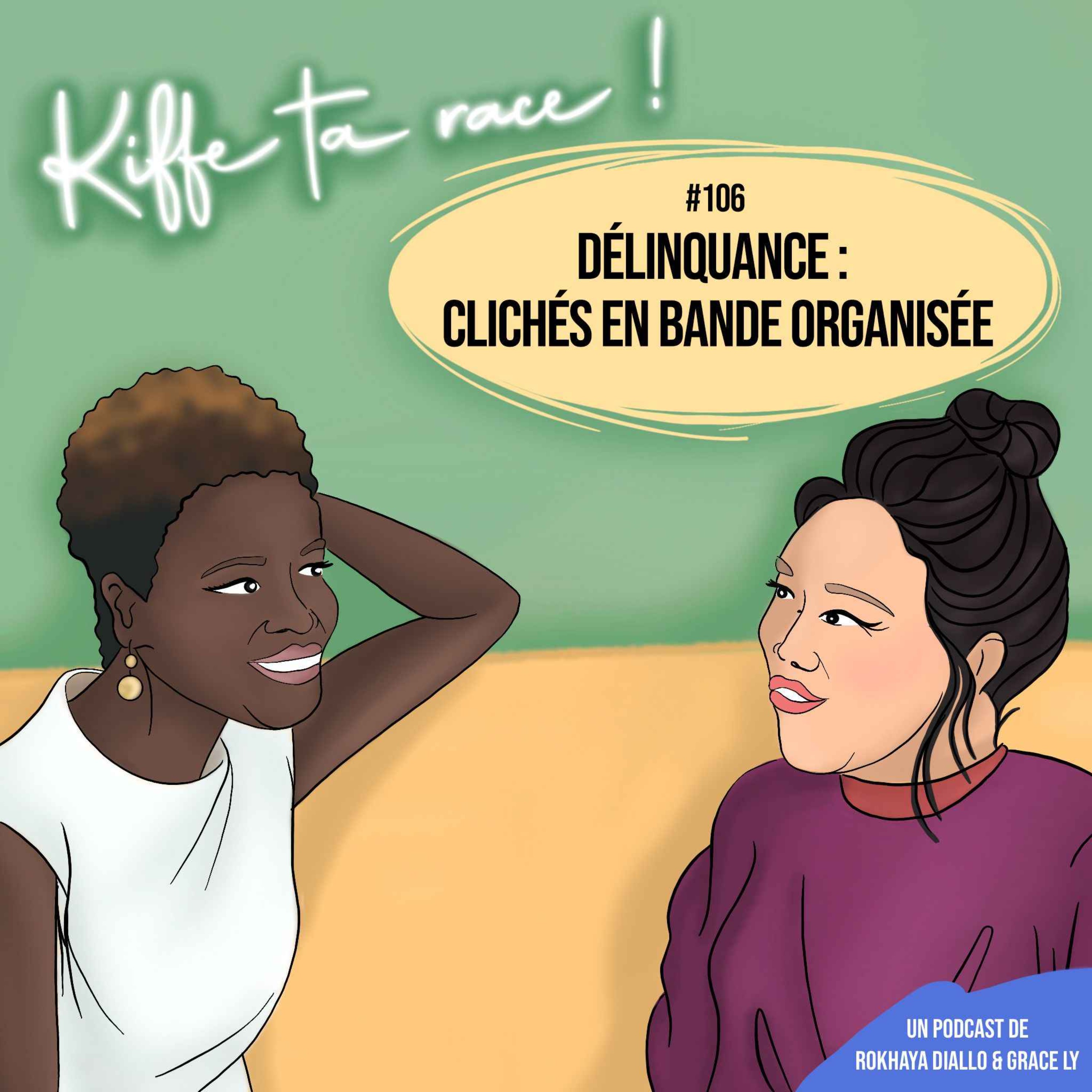 cover art for Délinquance : clichés en bande organisée