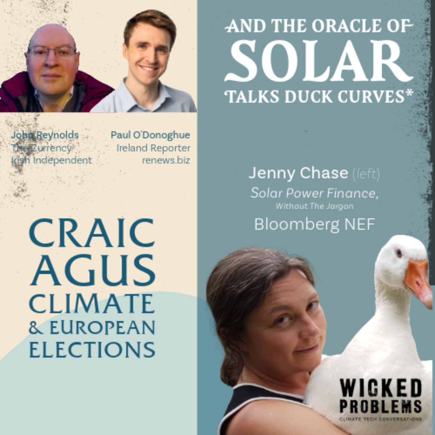 Jenny Chase on Solar, Scifi, Geese, and Michael Liebreich