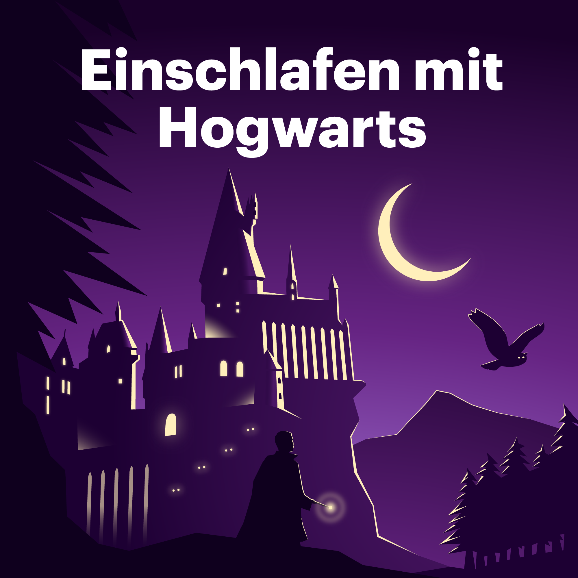 cover art for Die Entstehung Hogwarts'