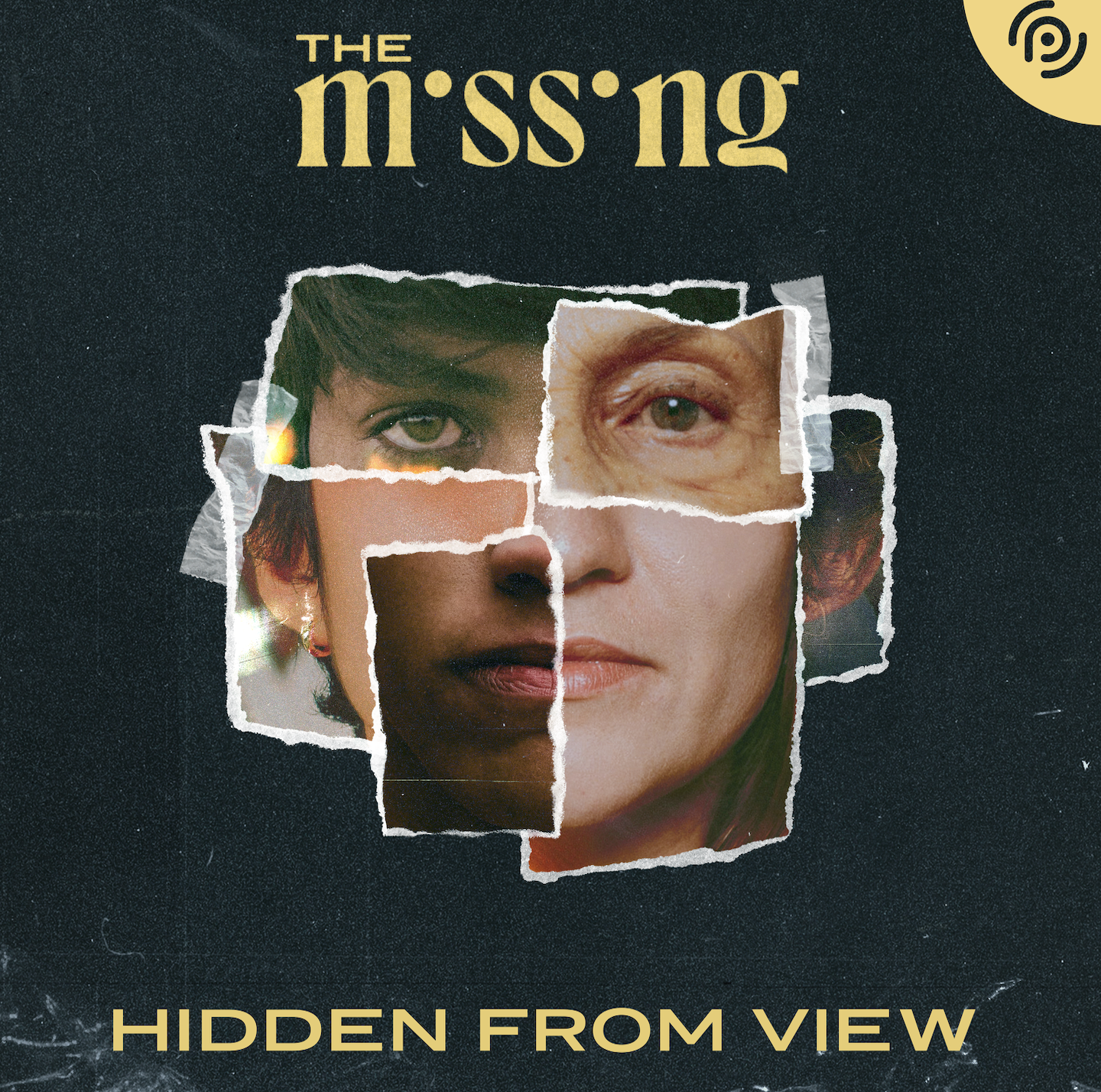 cover art for Hidden From View