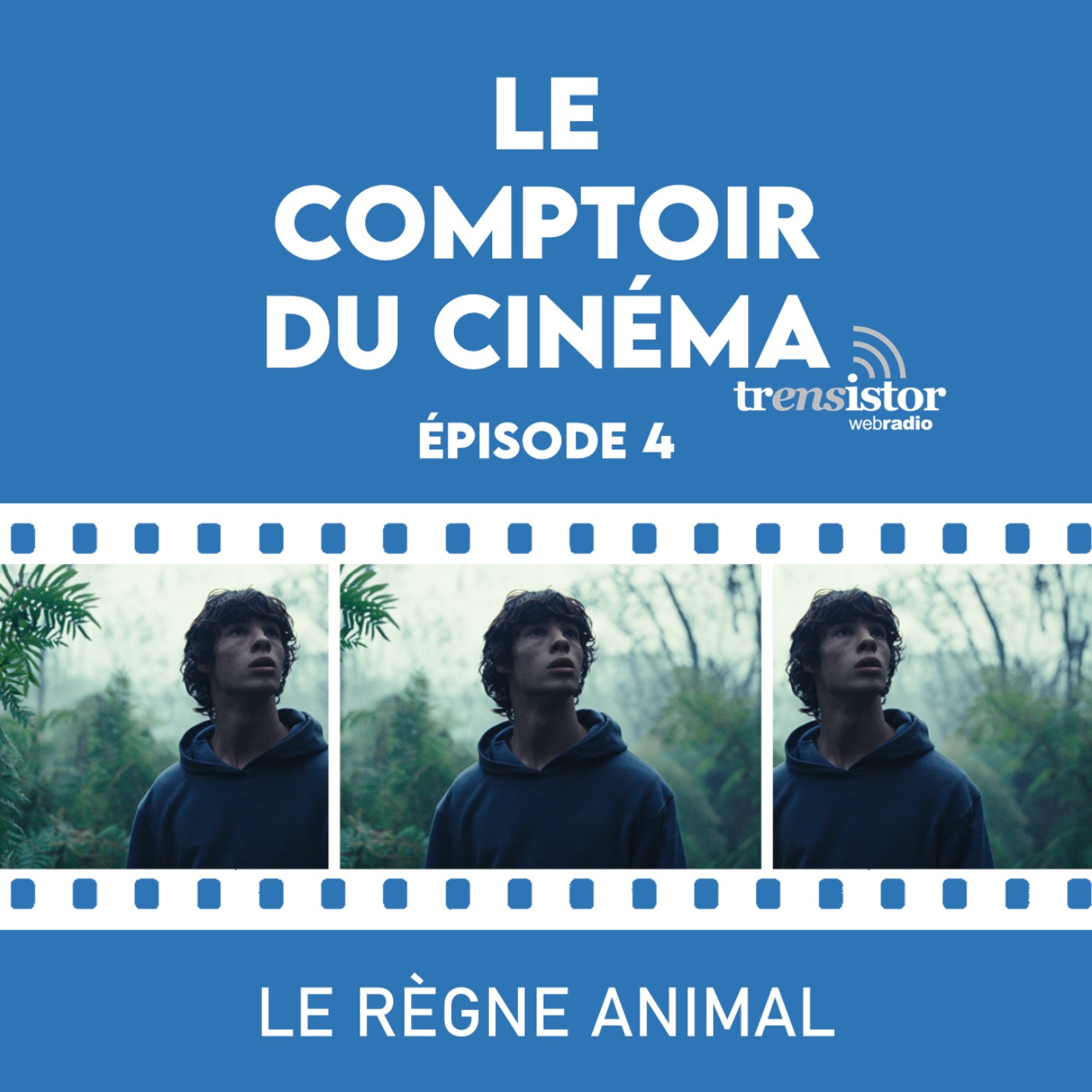 Le Comptoir du Cinéma