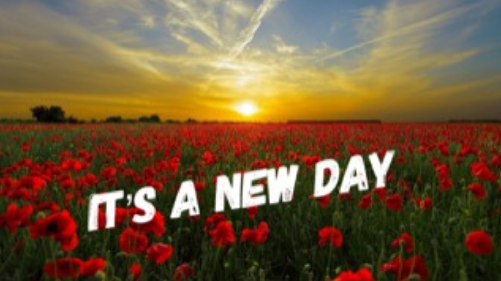 “It’s a New Day” - Pastor Scott Marshall episode artwork