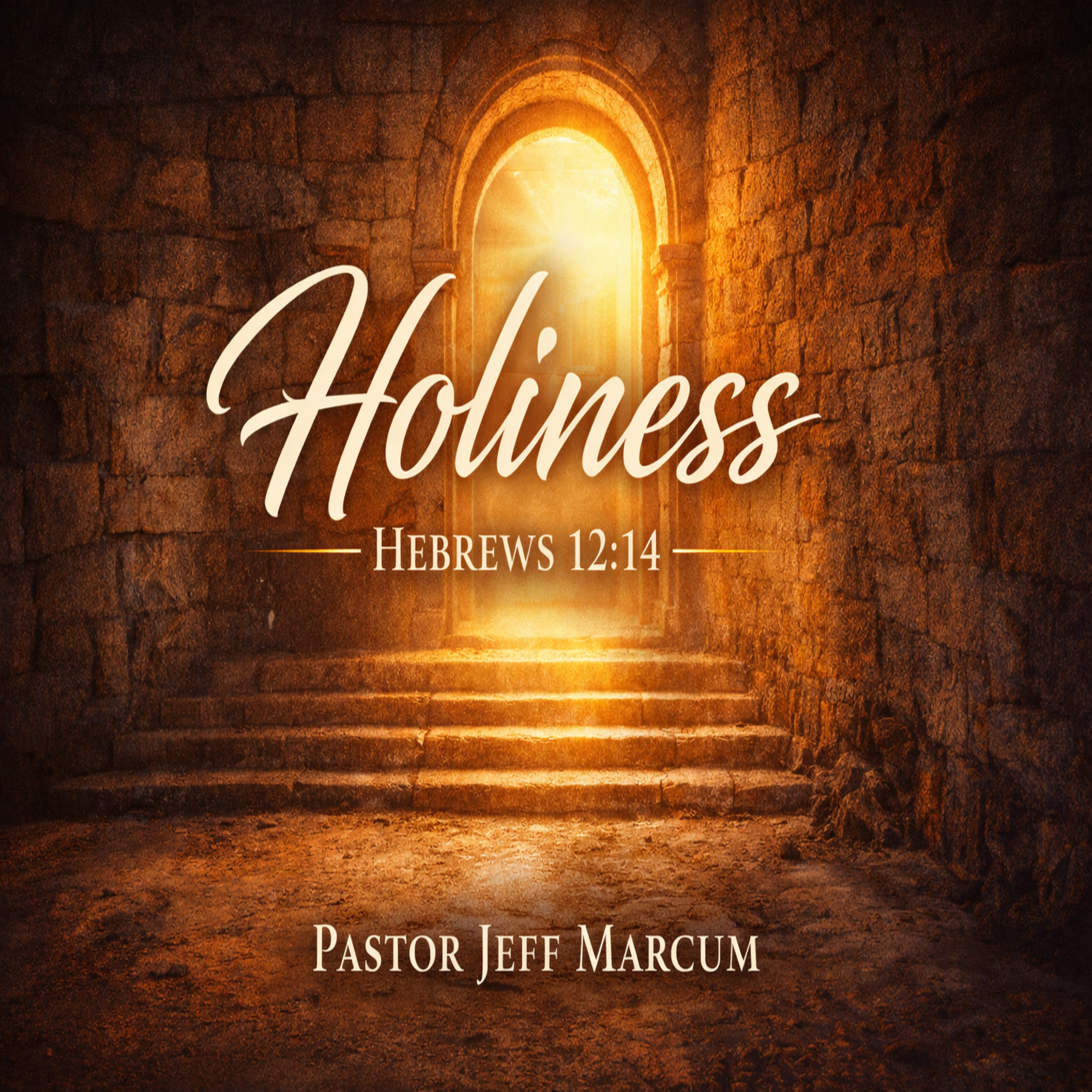 Holiness episode artwork