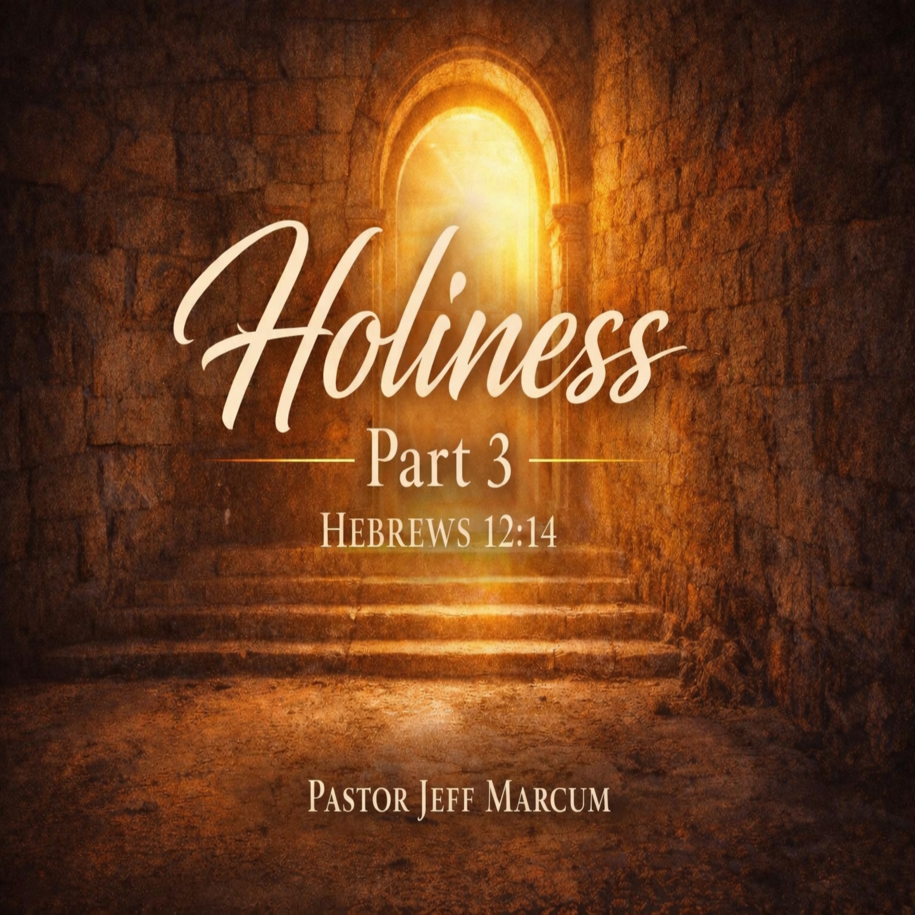 Holiness Part 3 episode artwork