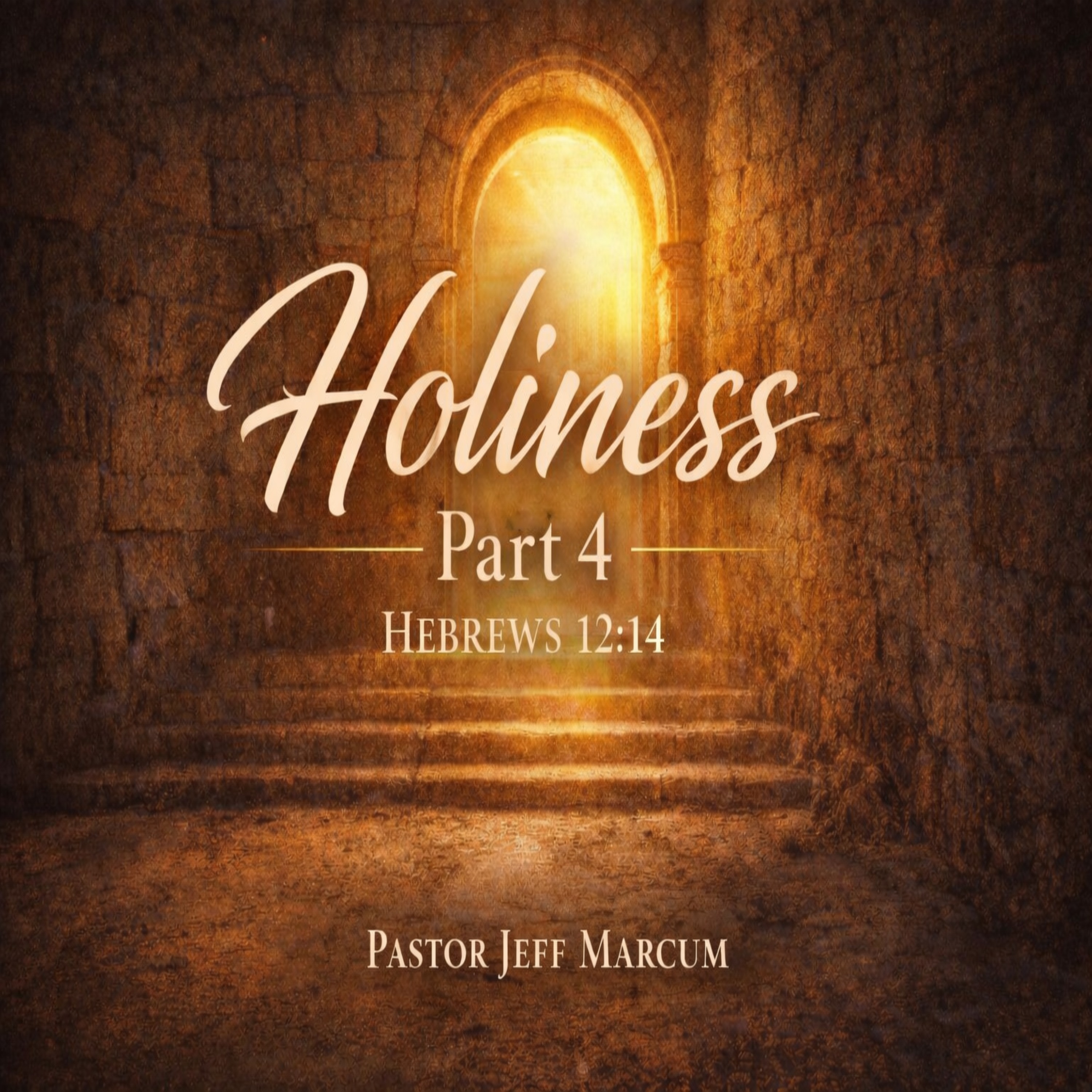 Holiness (Part 4) episode artwork