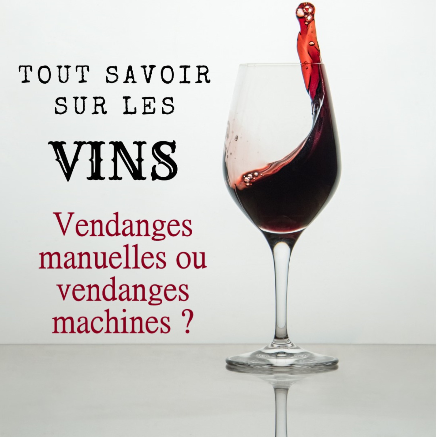 Vendanges manuelles ou vendanges machines ?