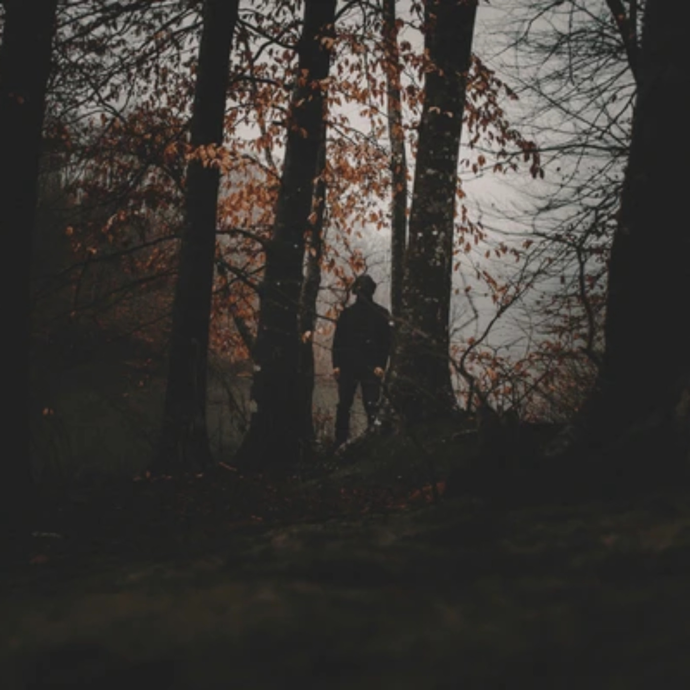 10 TRUE CREEPY AIRBNB HORROR STORIES