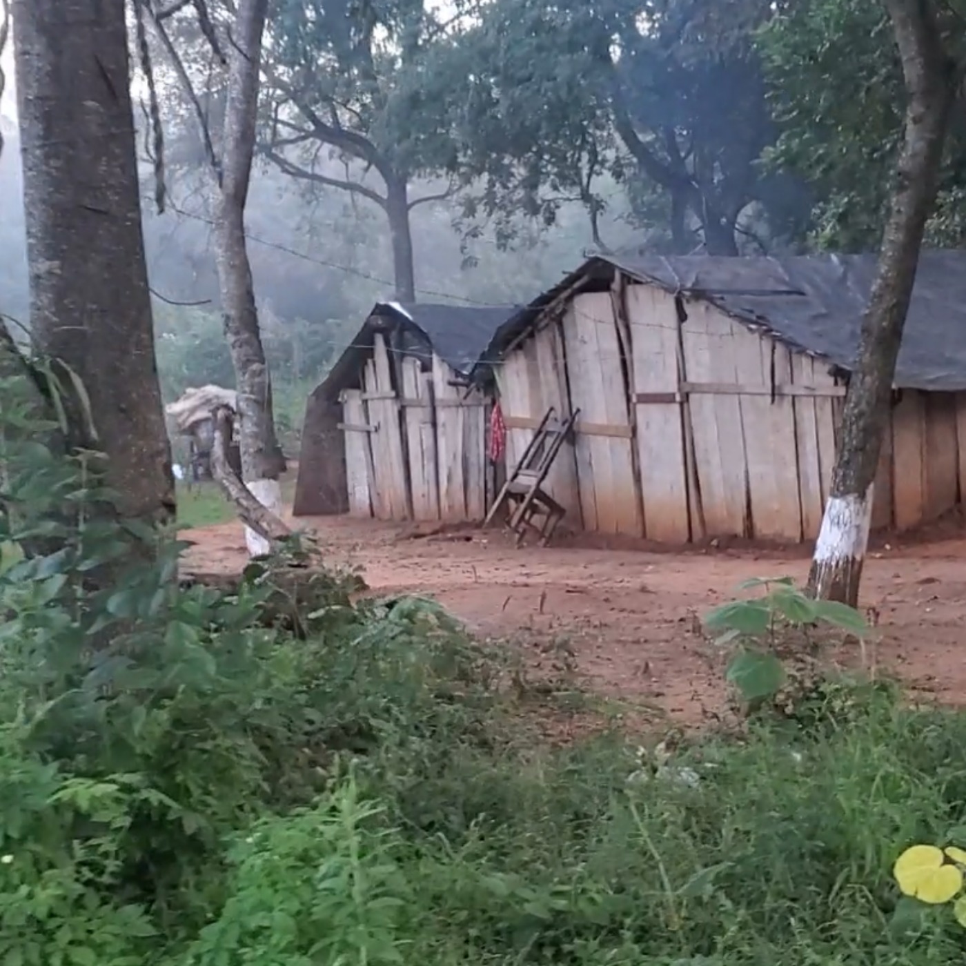 Guarani Tupa'o: Los Sermones Y Eventos De Una Iglesia Guarani-Hablante en Paraguay