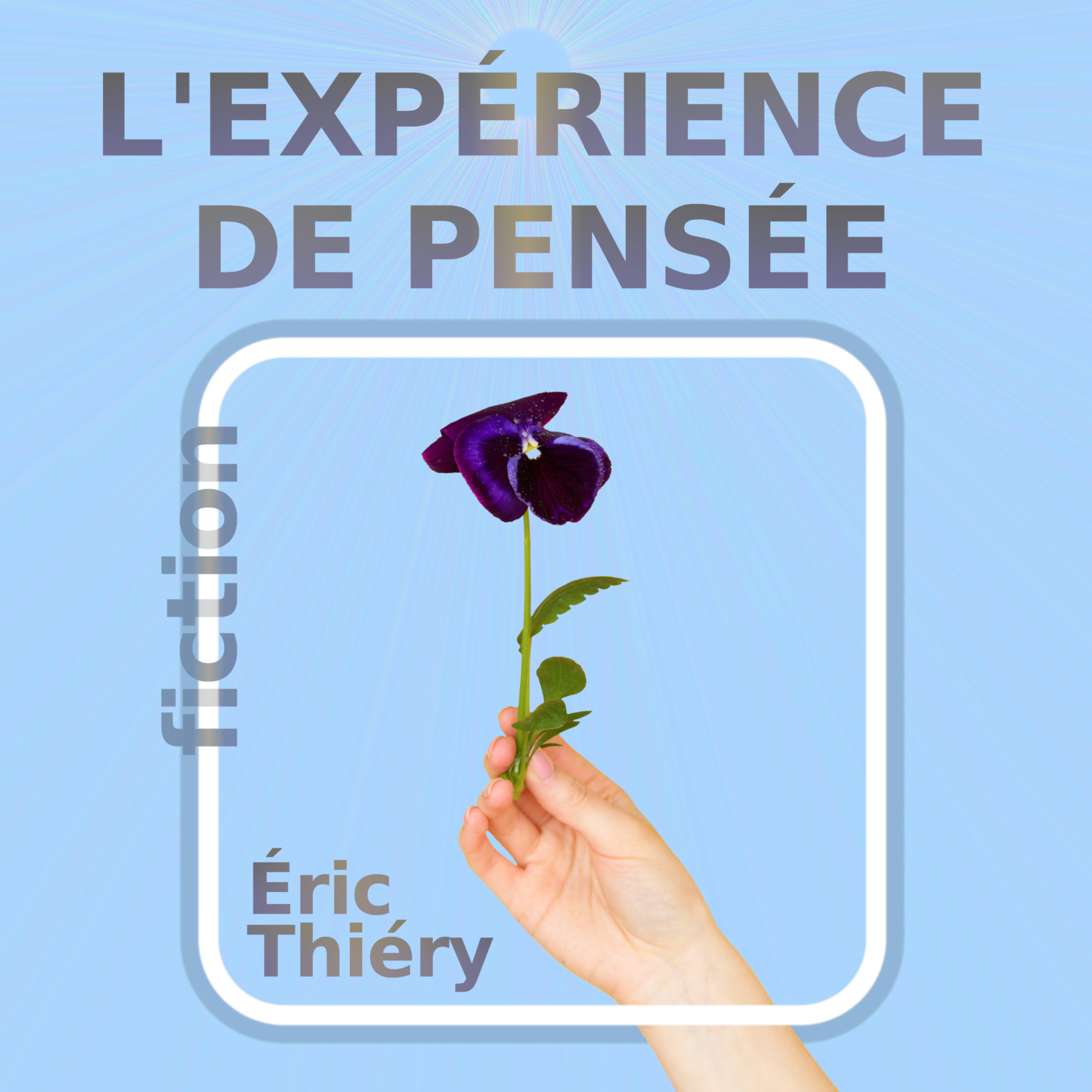 Le curieux colibri (2/2)