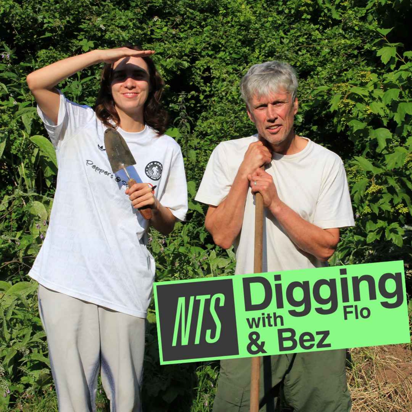 Bez