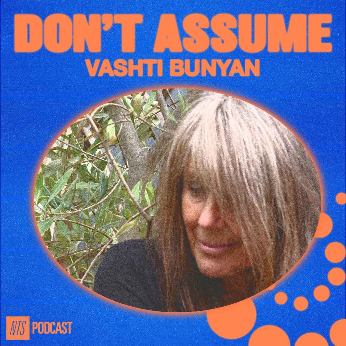 Vashti Bunyan