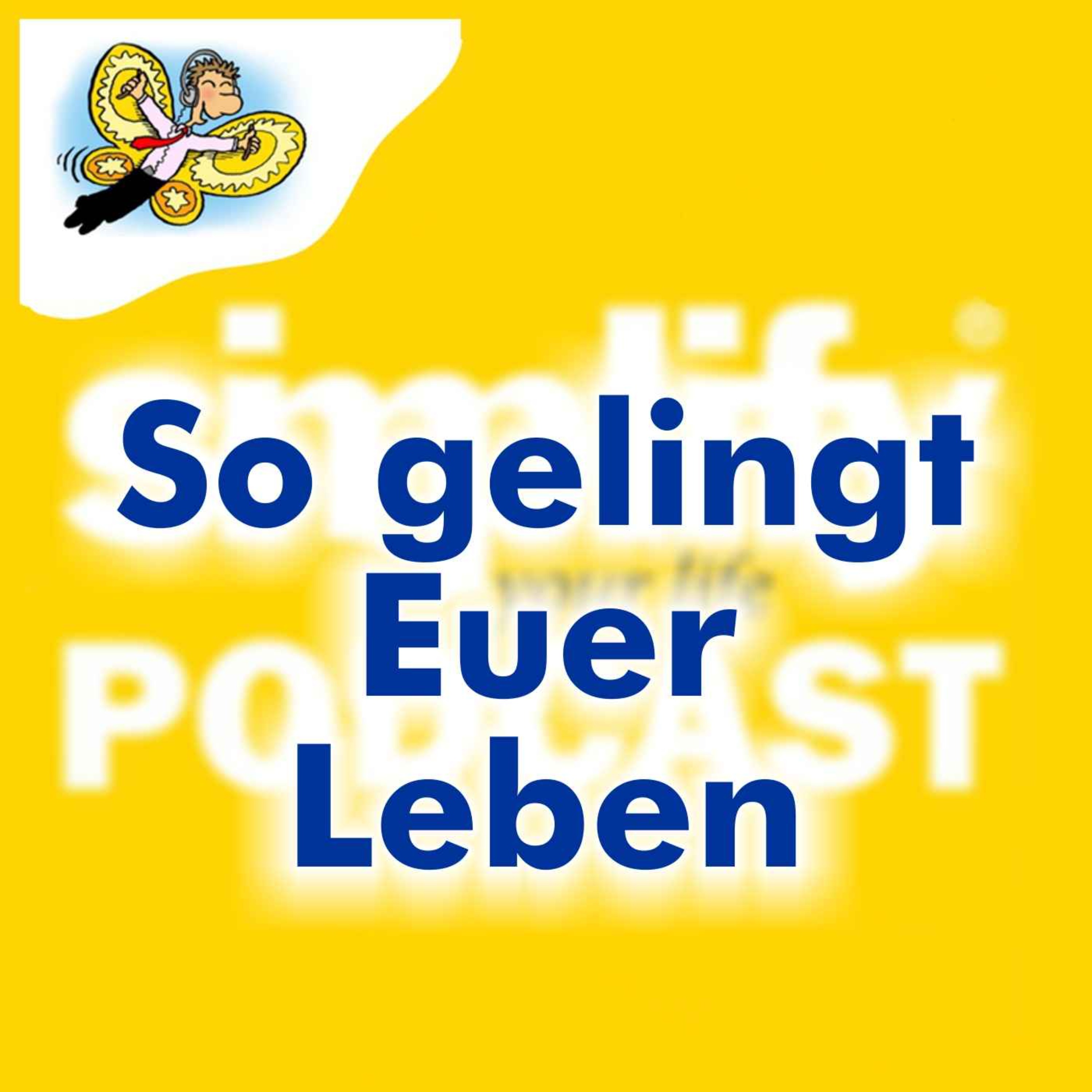 cover art for So gelingt Euer Leben - rückwirkend!