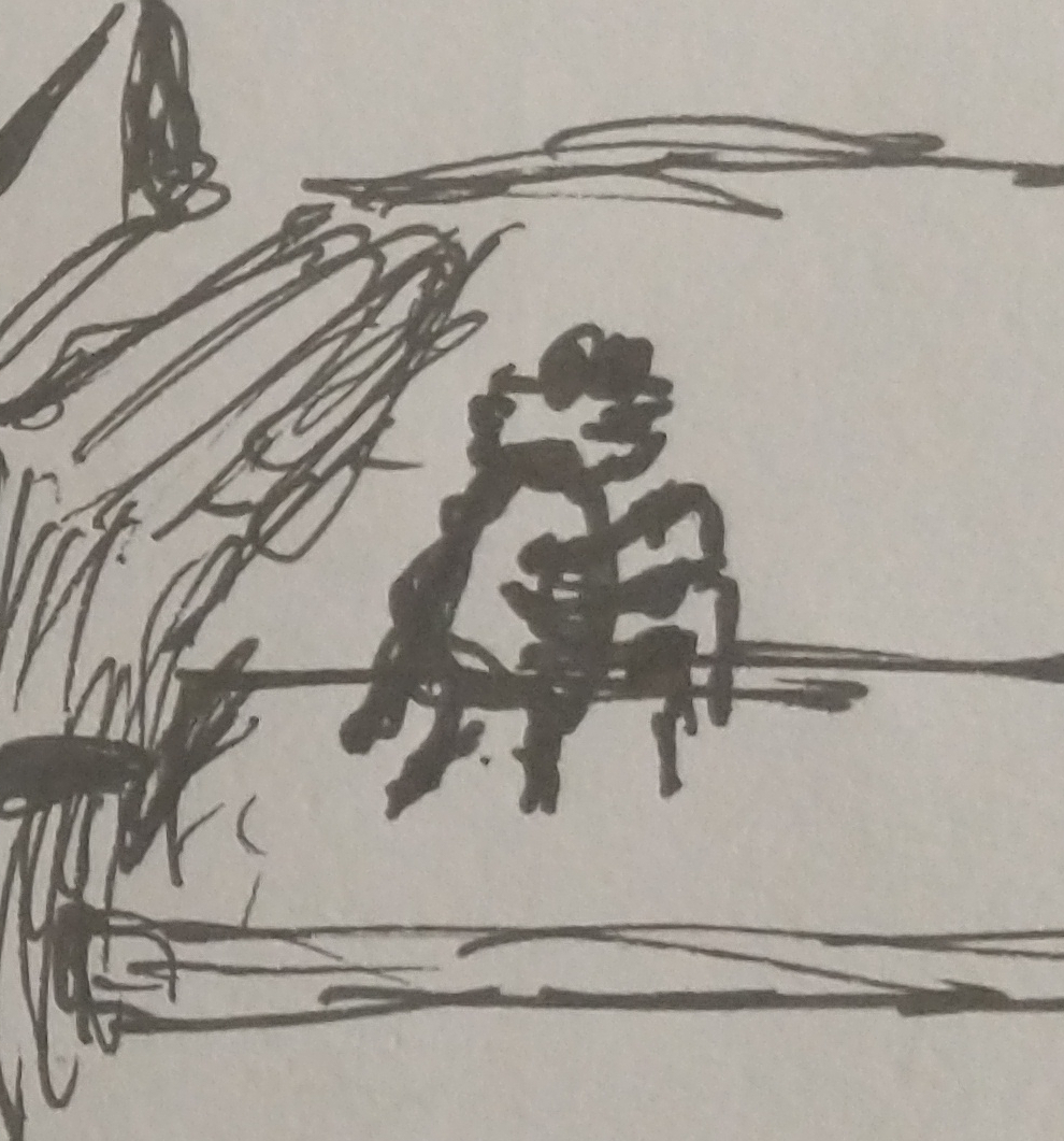 Rough Sketch Podcast