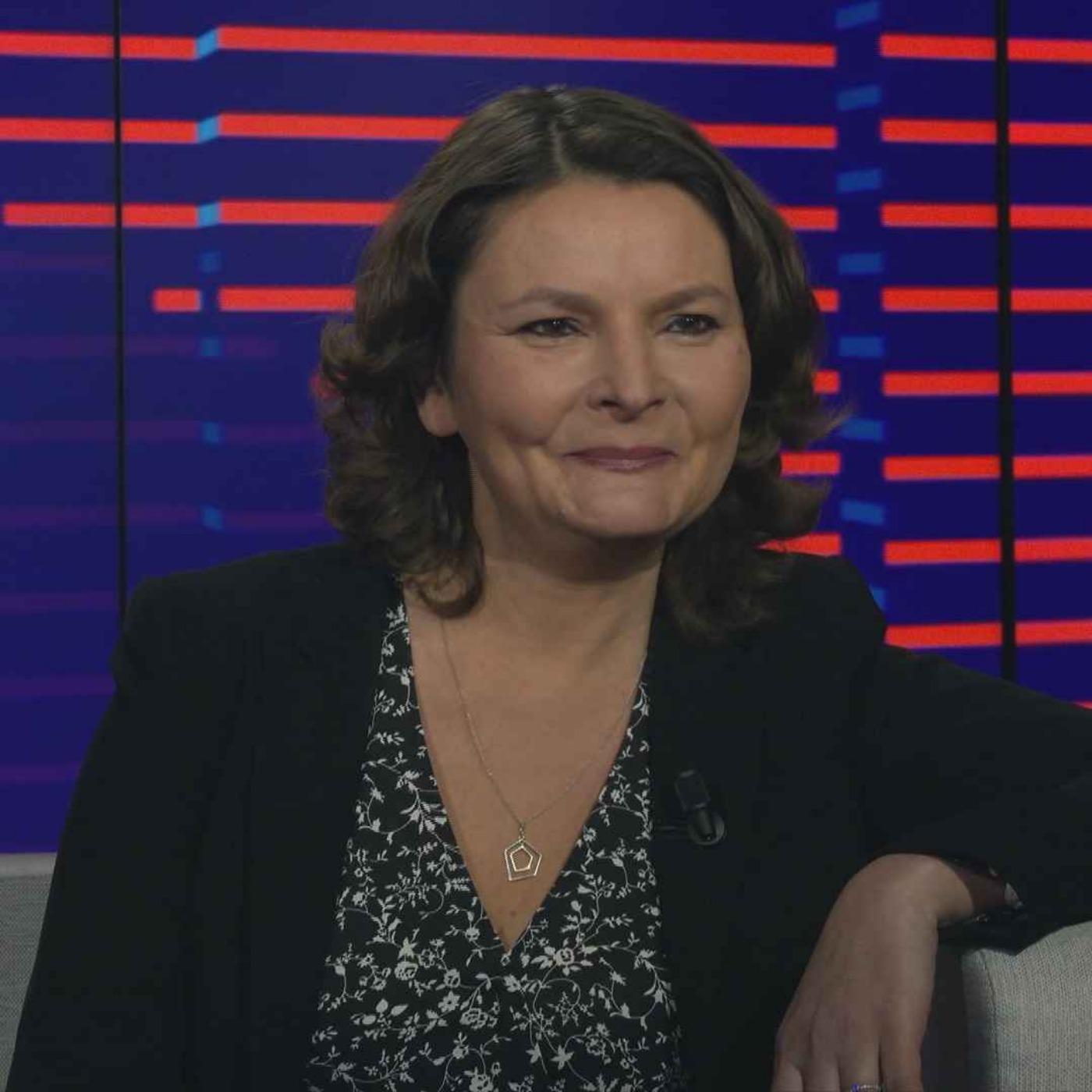 La Politique et moi