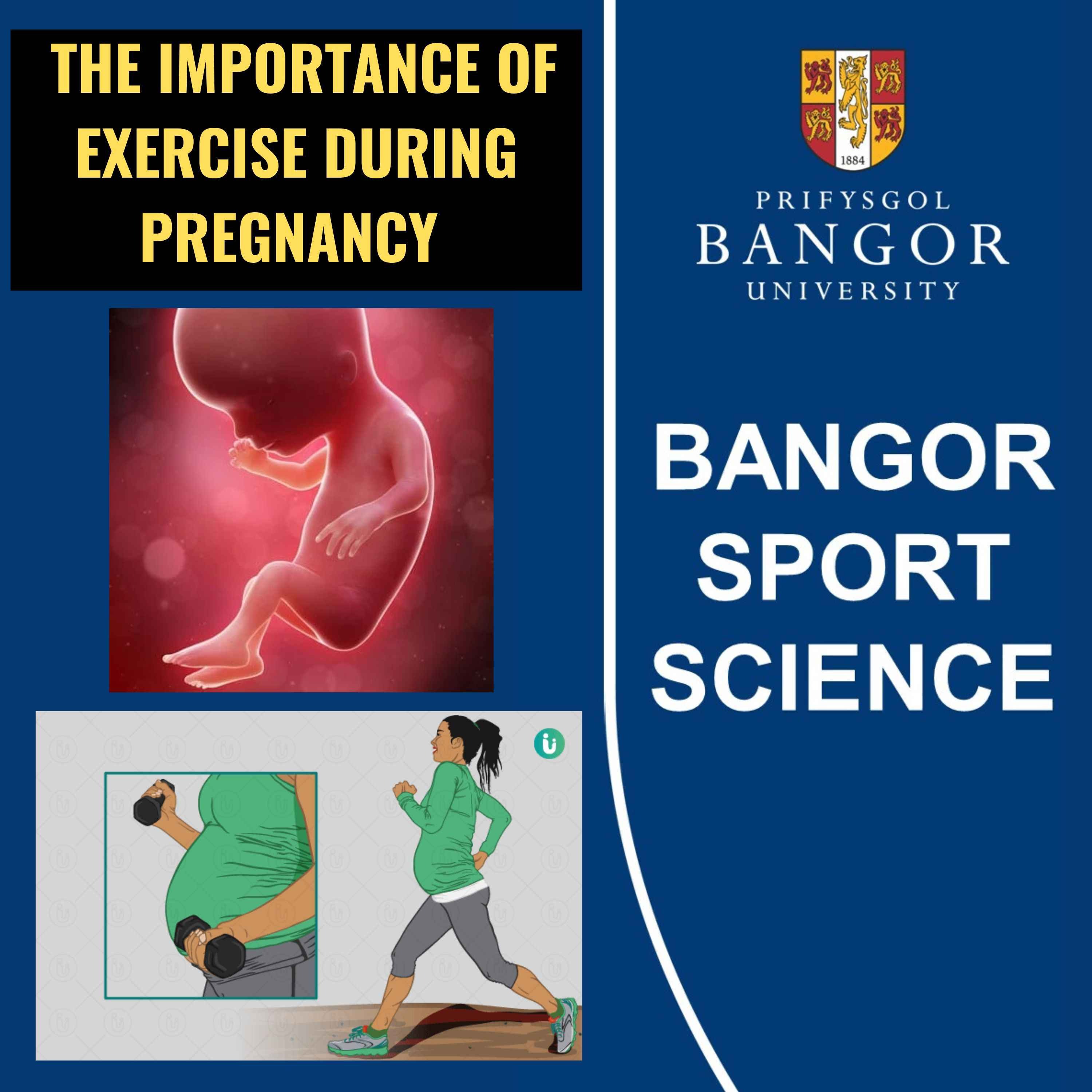 The Importance of Exercise During Pregnancy episode artwork