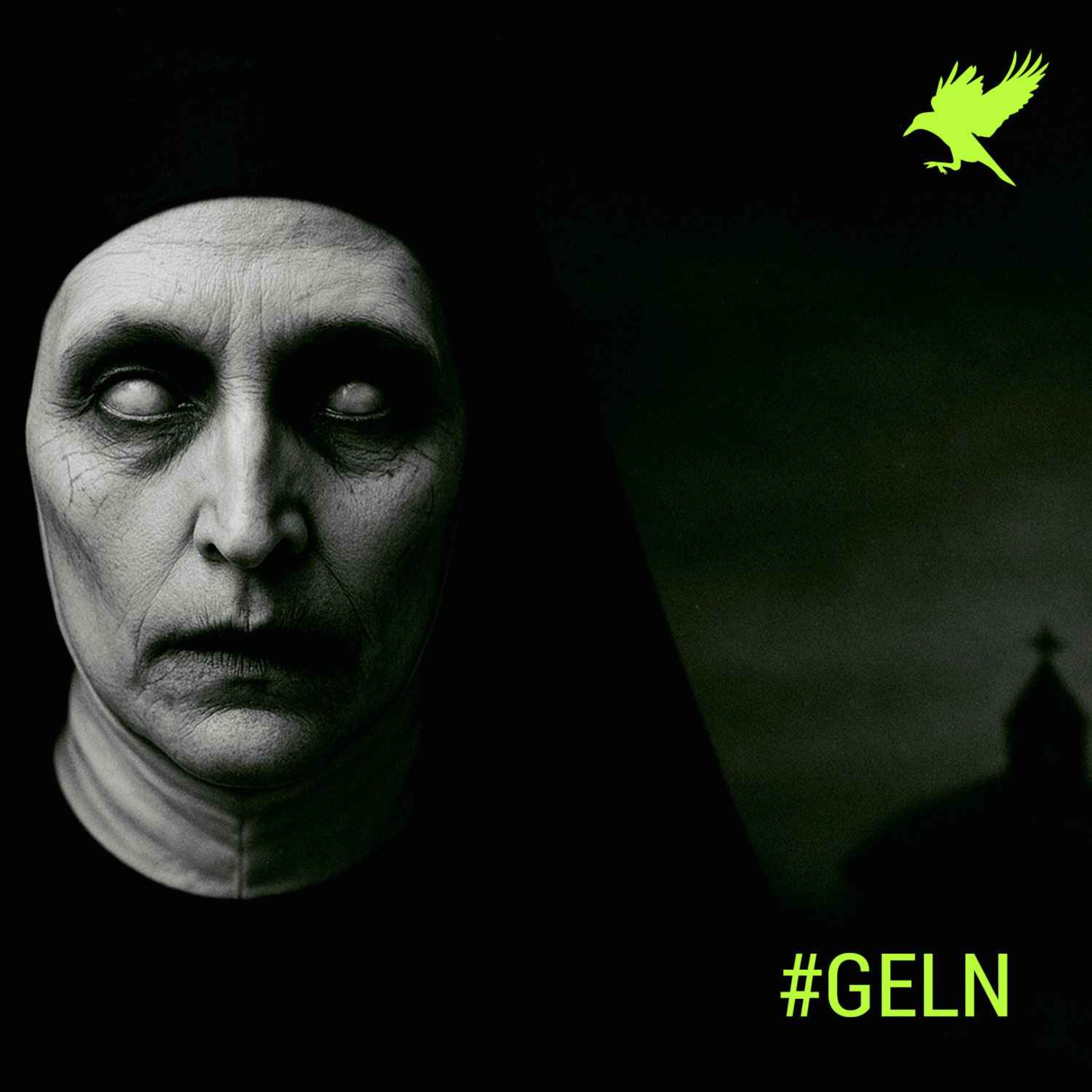 La monja del internado La monja del internado