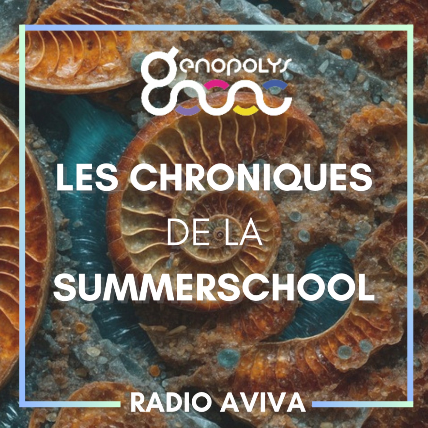 Les chroniques de la SummerSchool podcast artwork