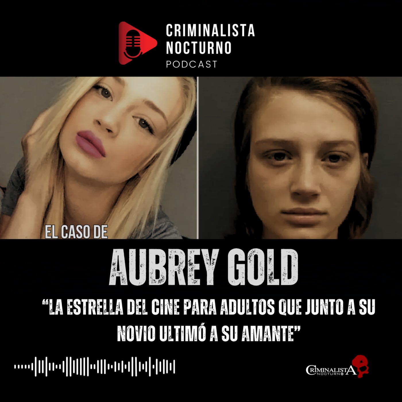 El caso de Aubrey Gold | Criminalista Nocturno