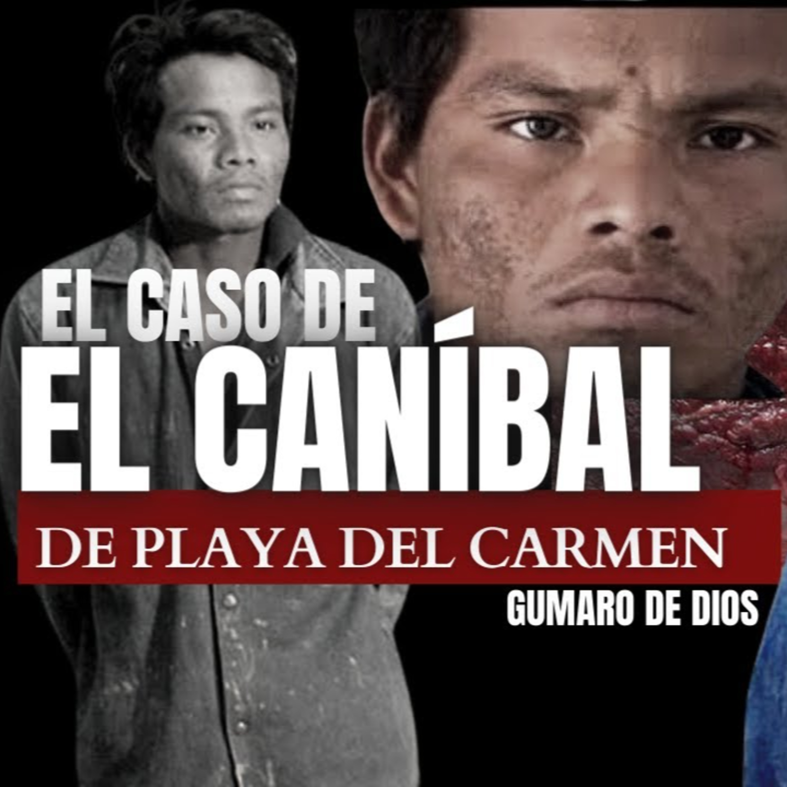 CRIMINALISTA NOCTURNO