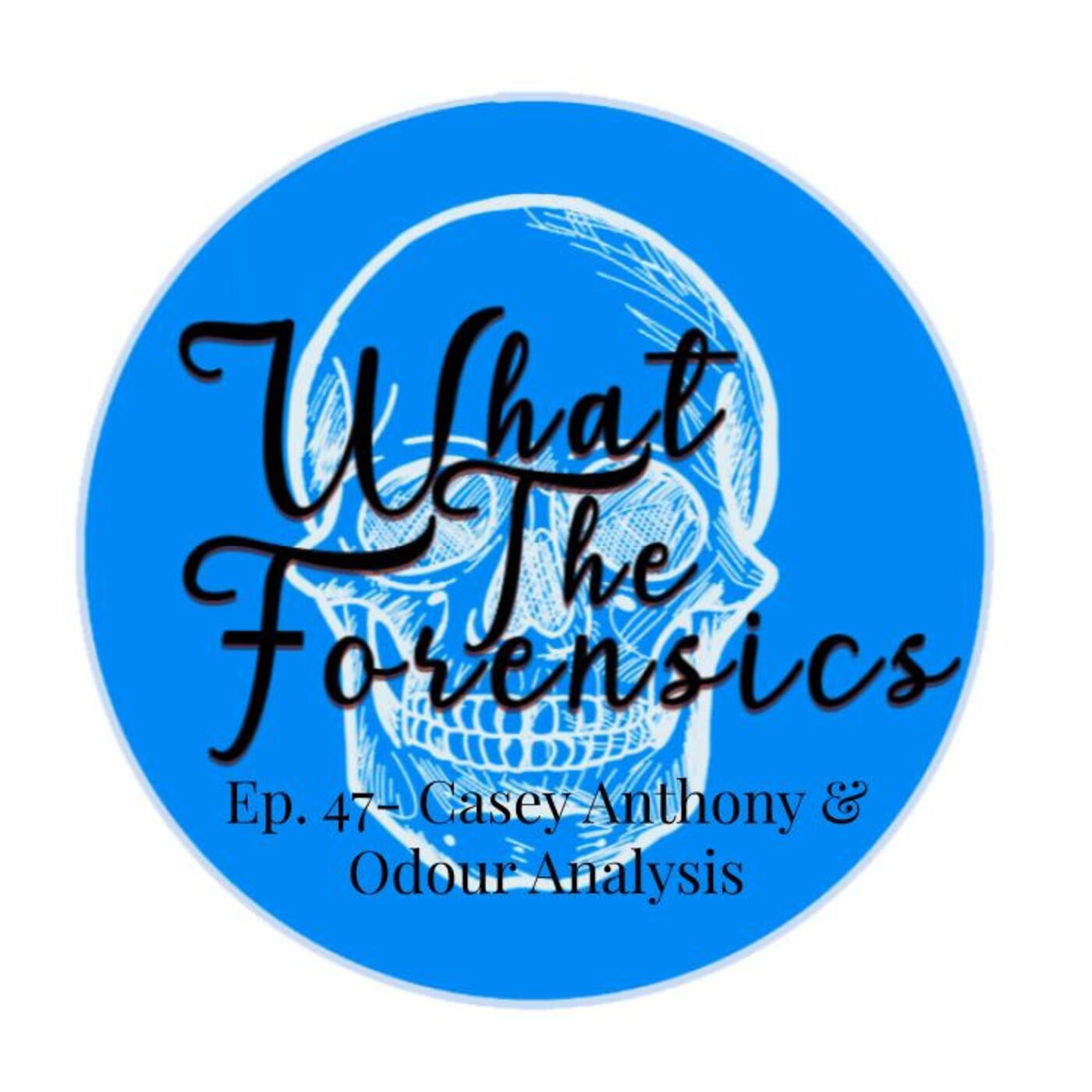 What the Forensics