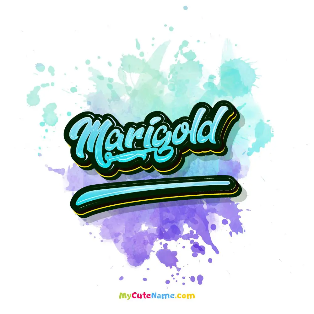 Marigold meaning episode artwork