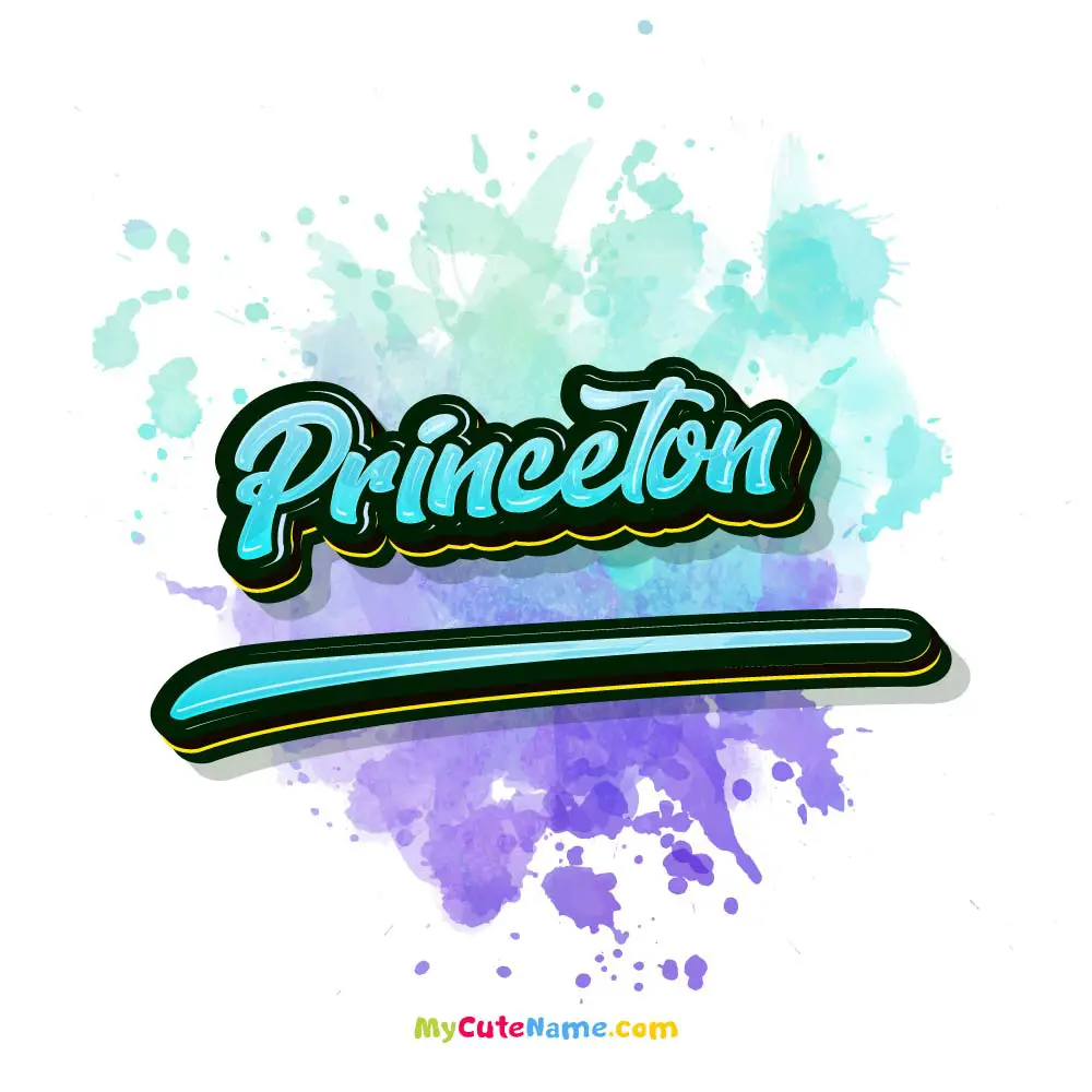 Princeton meaning episode artwork