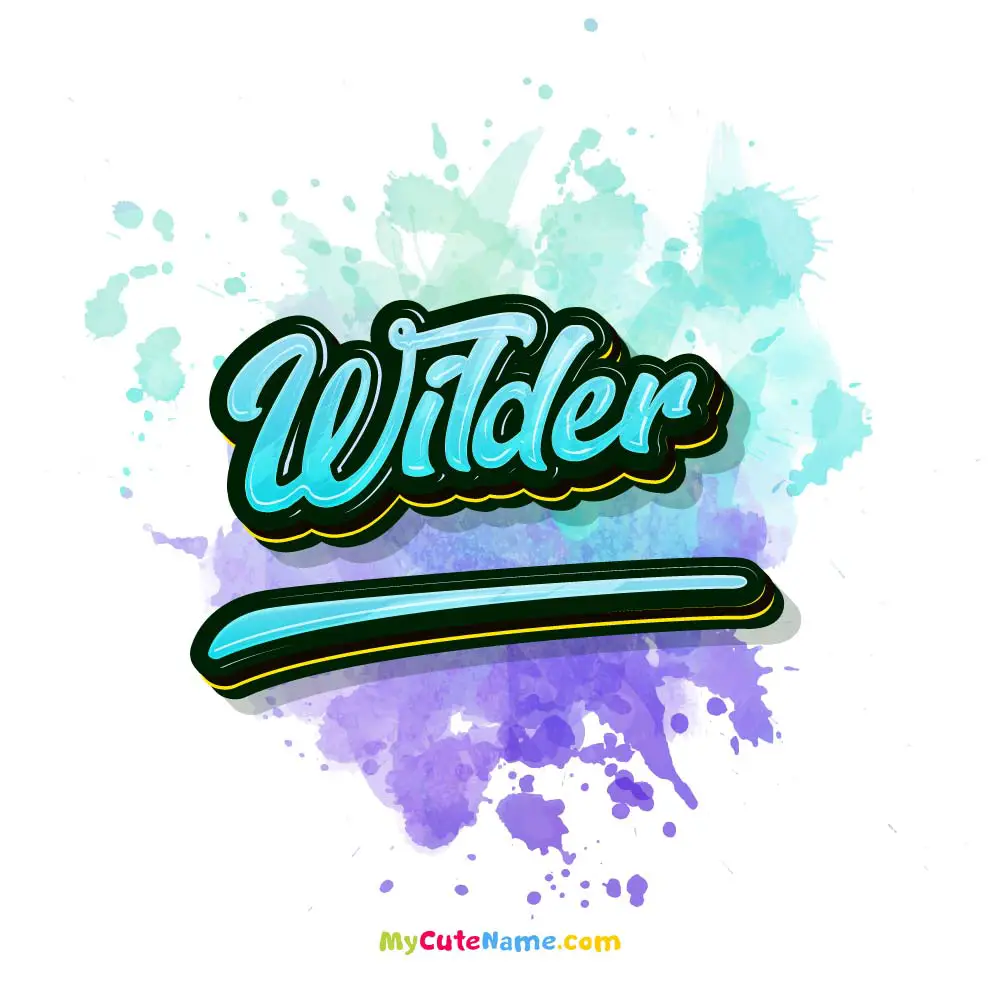 Wilder meaning episode artwork
