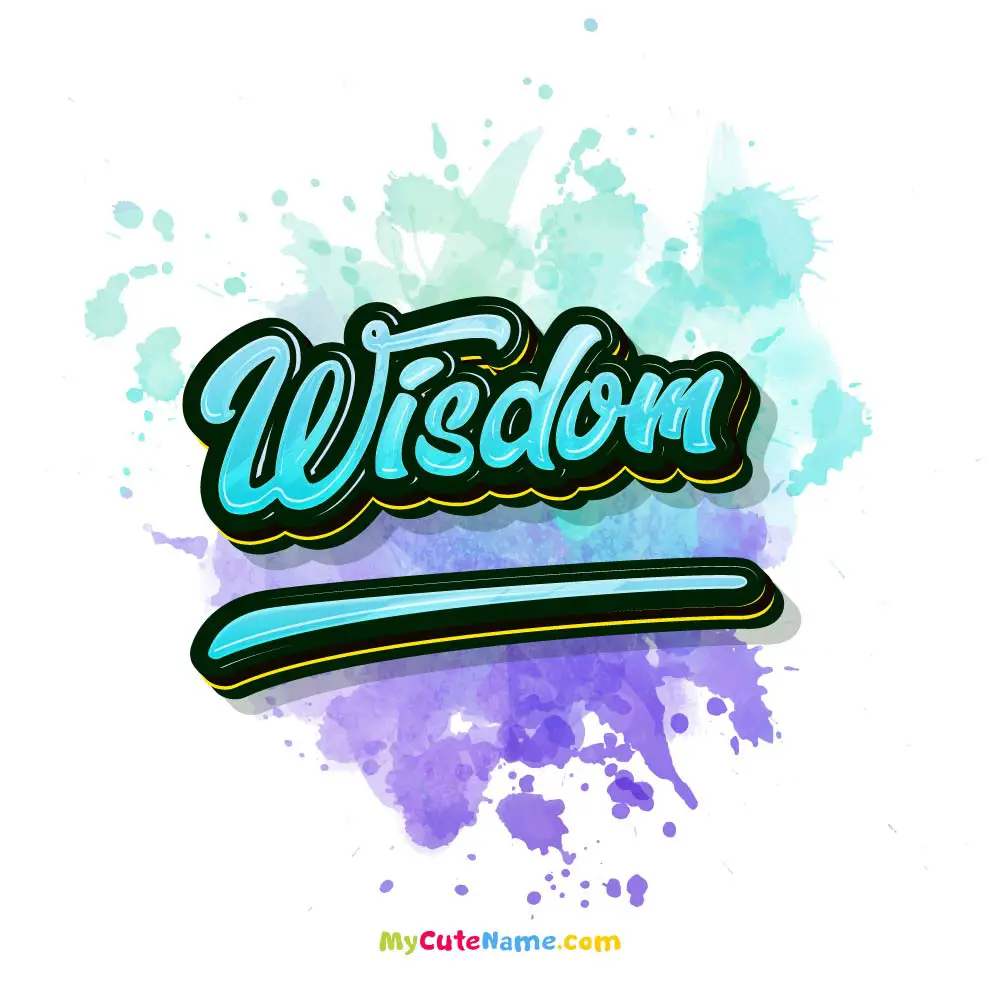 Wisdom meaning episode artwork