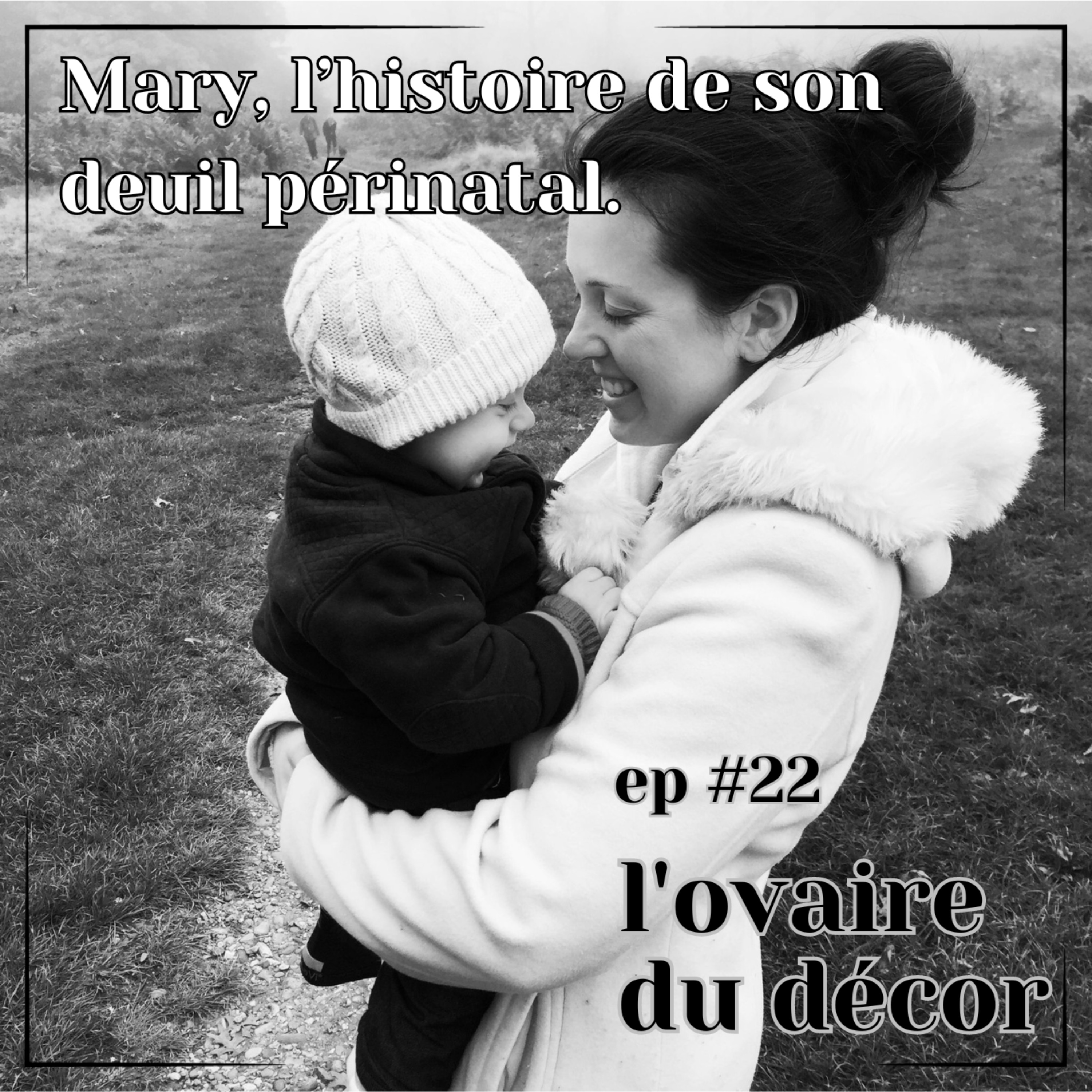 L\'ovaire du décor